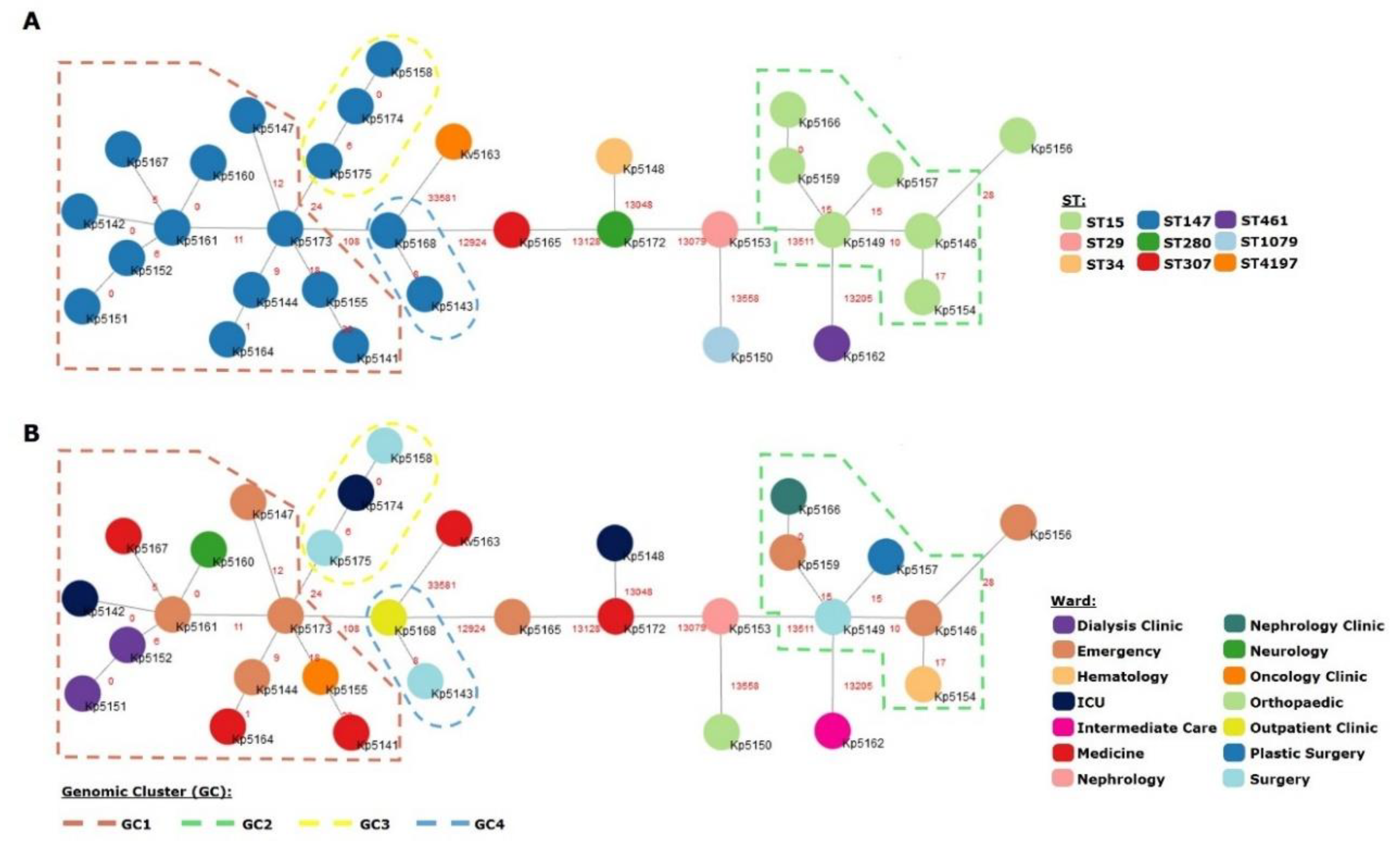 Microorganisms 08 01986 g002