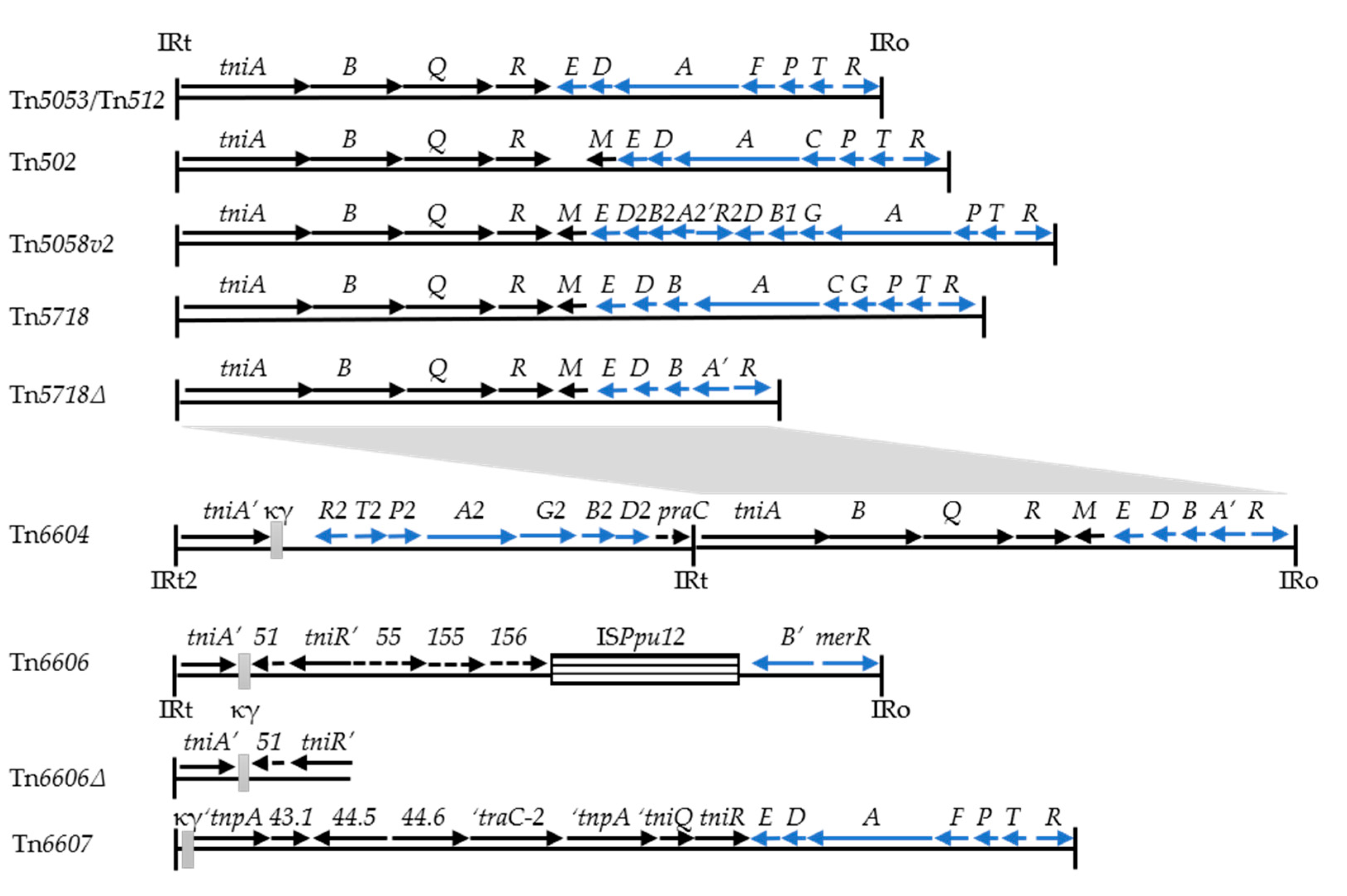 Microorganisms 08 01997 g001