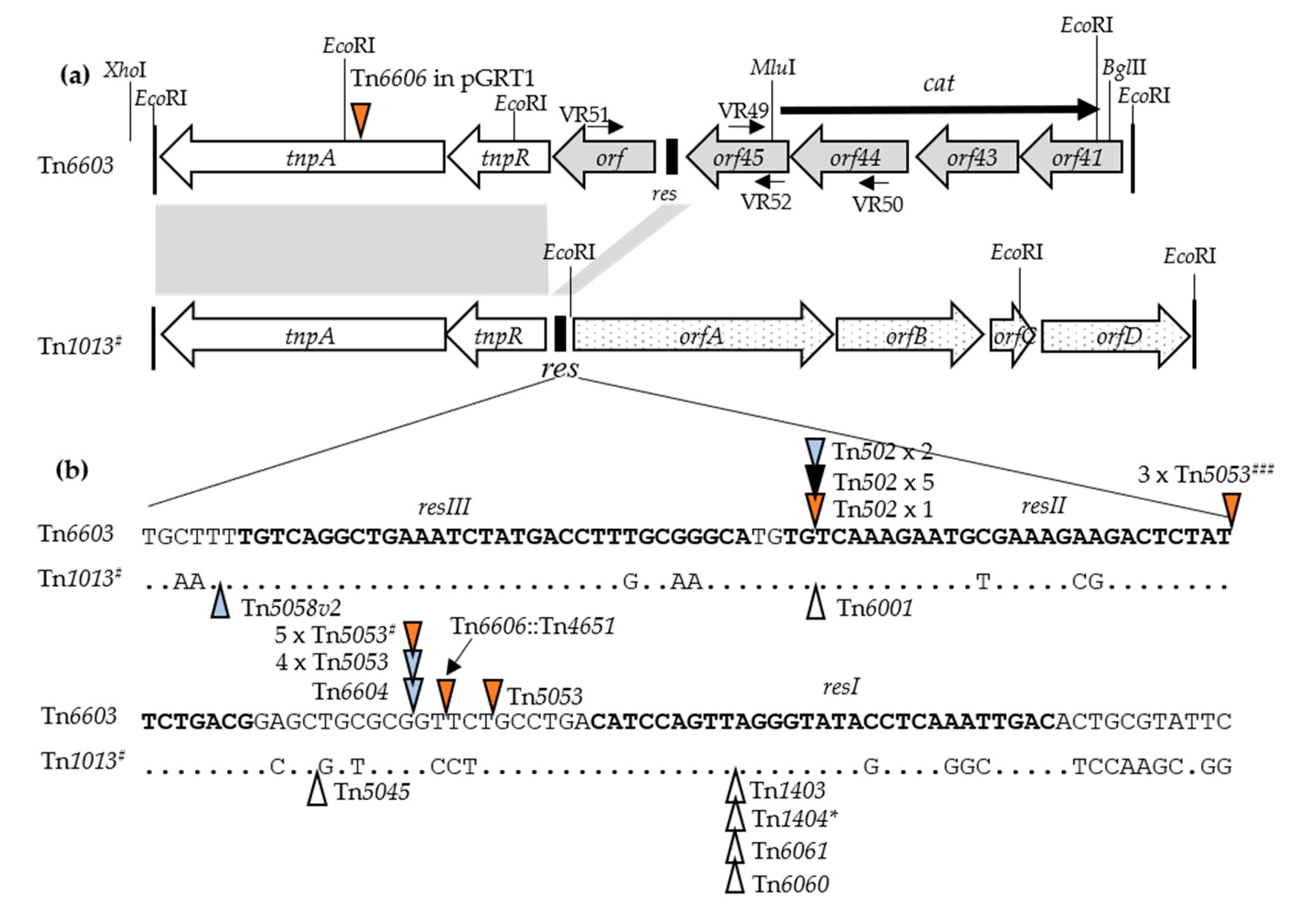 Microorganisms 08 01997 g003