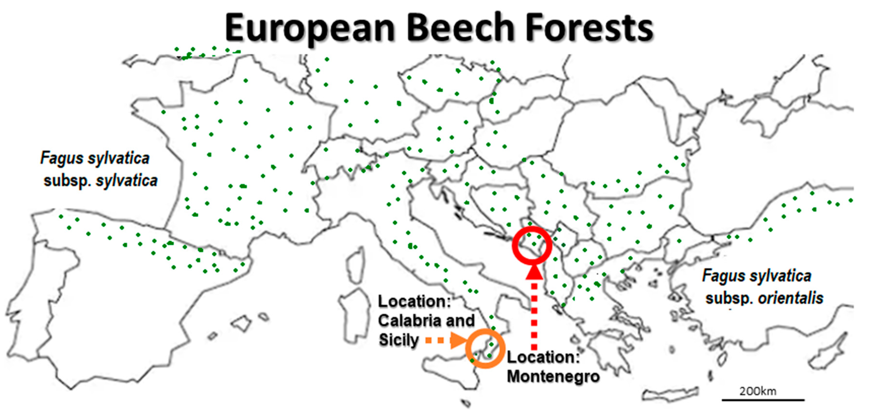 Microorganisms 08 01999 g001 Microorganisms 08 01999 g001