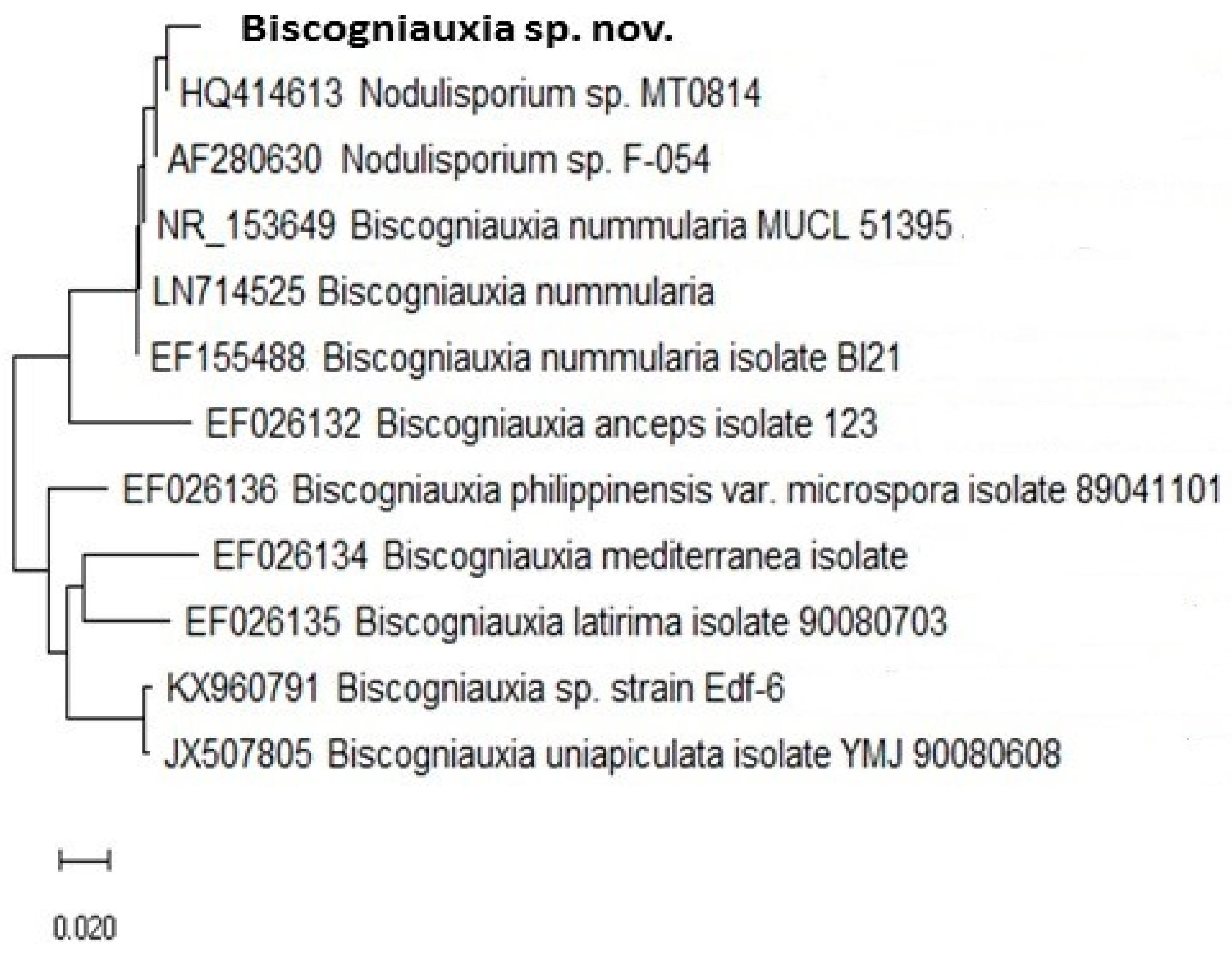 Microorganisms 08 01999 g004 Microorganisms 08 01999 g004