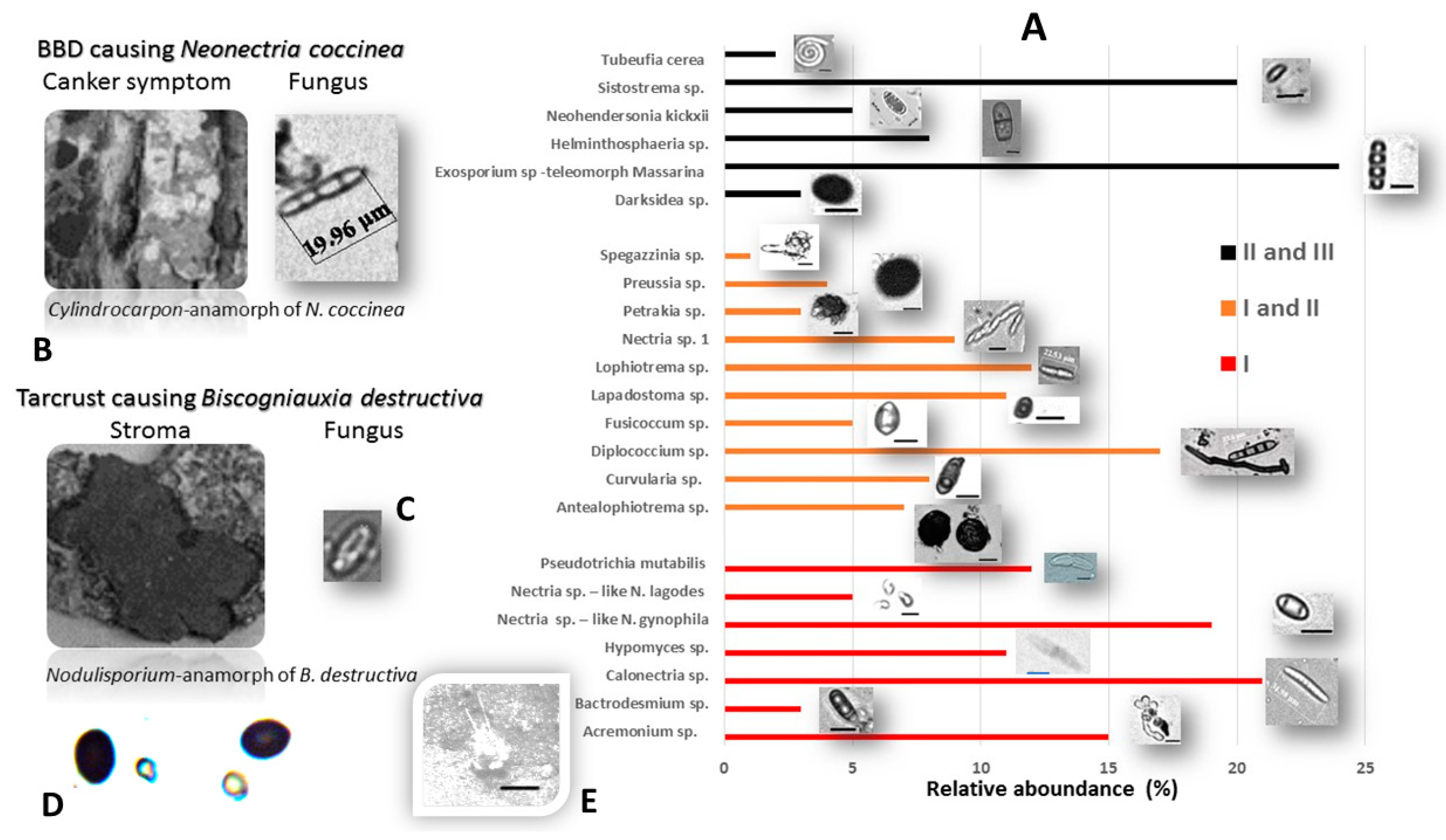 Microorganisms 08 01999 g006 Microorganisms 08 01999 g006