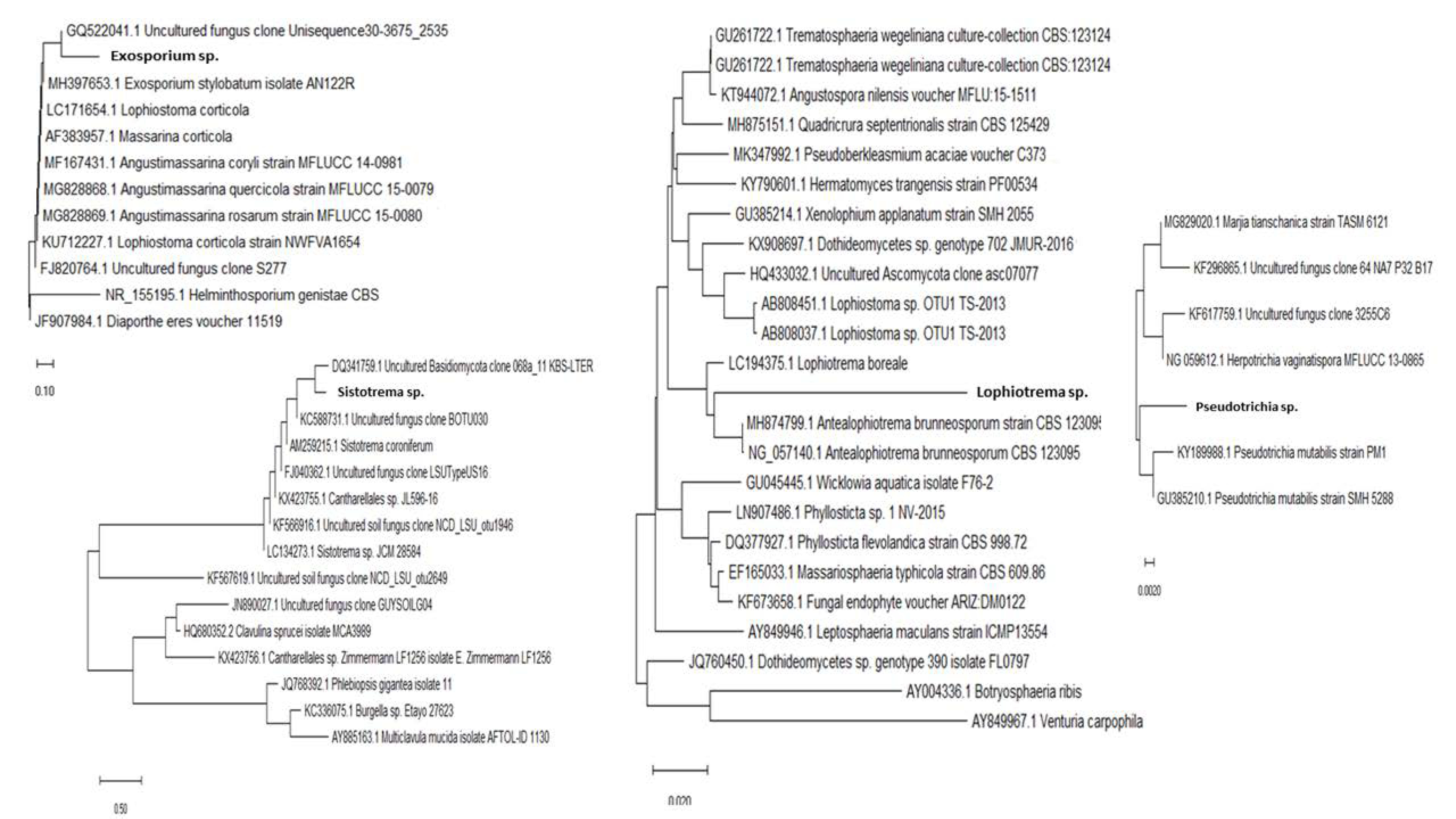 Microorganisms 08 01999 g007 Microorganisms 08 01999 g007
