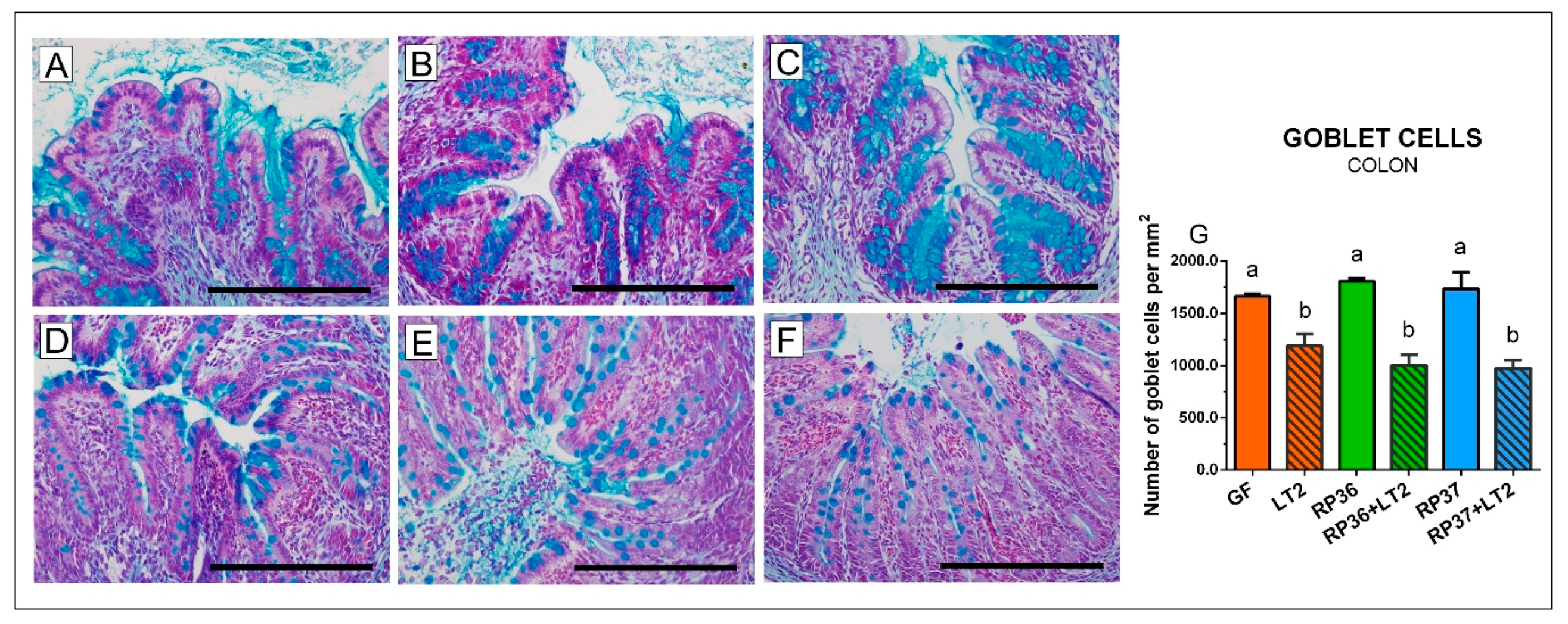 Microorganisms 08 02002 g005