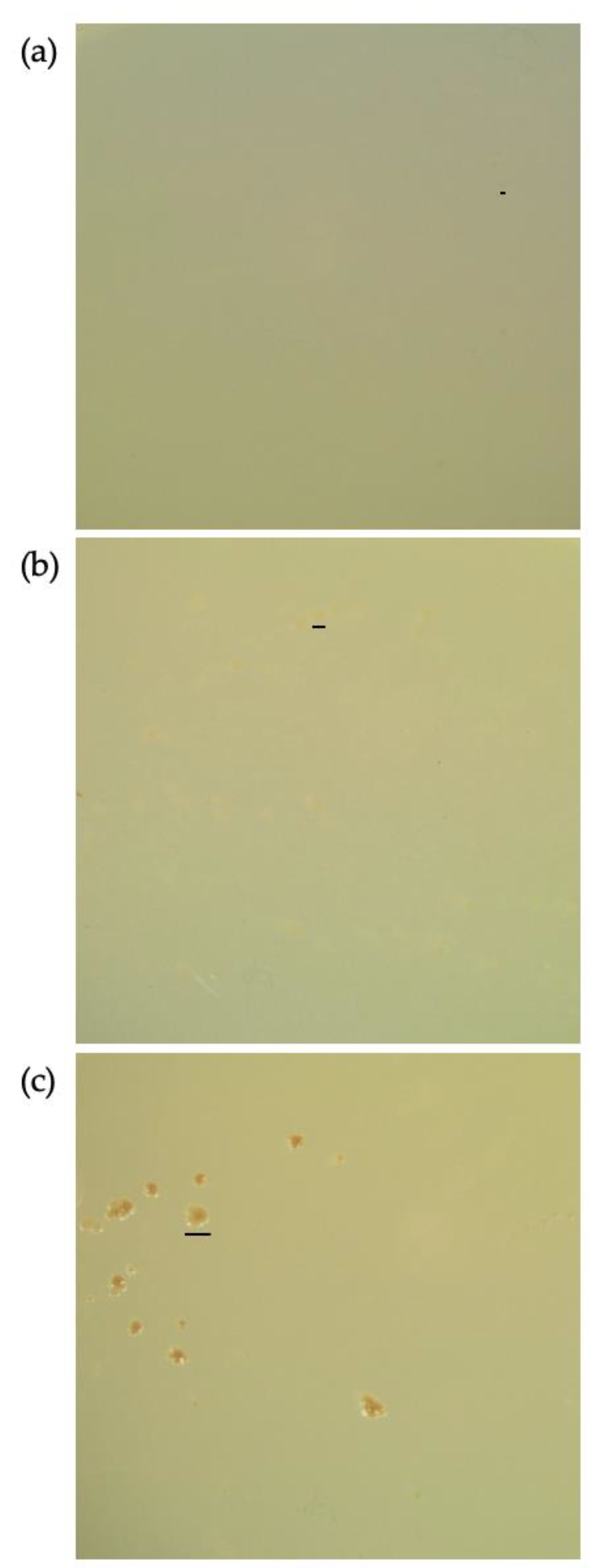 Microorganisms 08 02003 g002