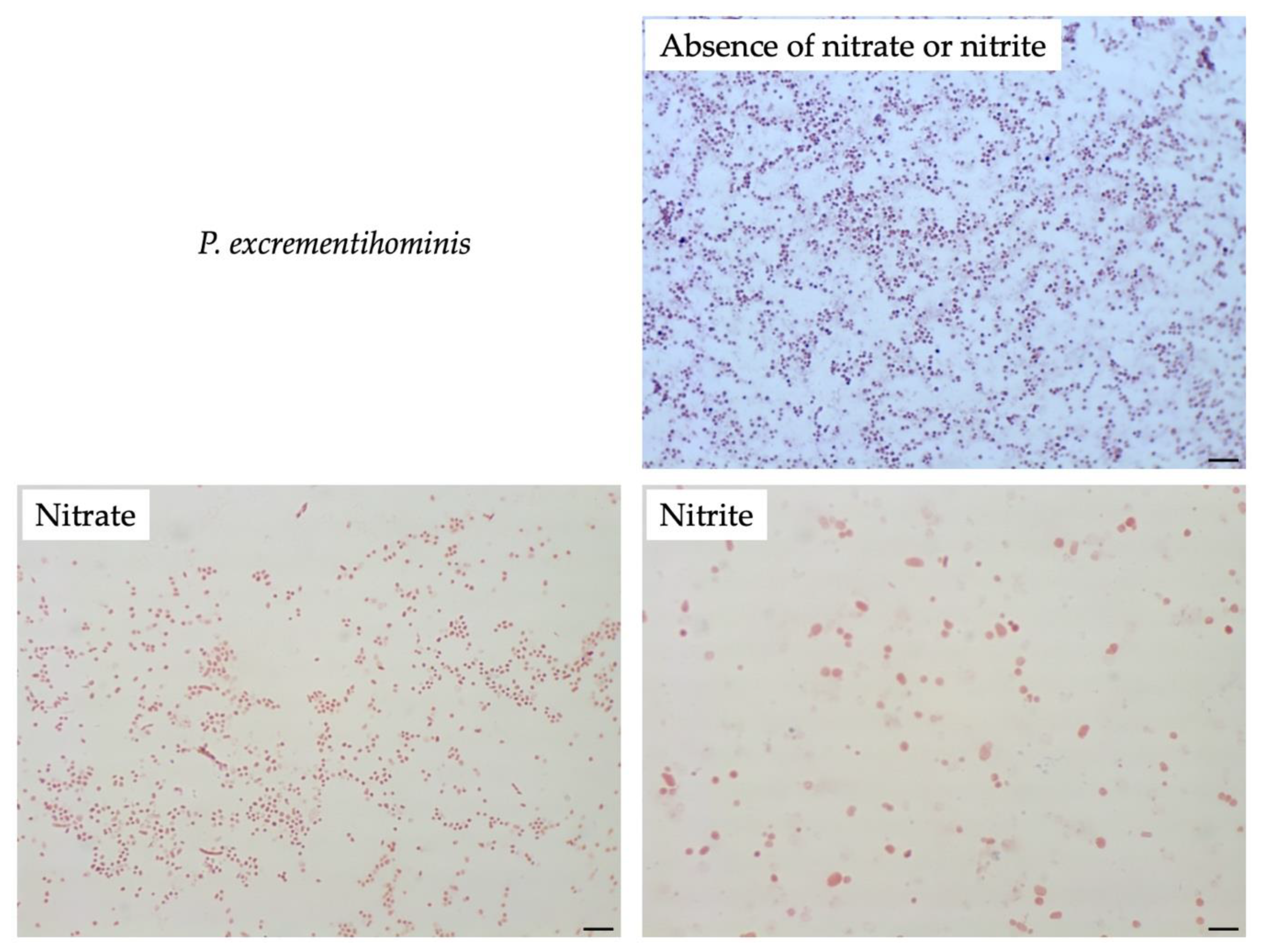 Microorganisms 08 02003 g007c