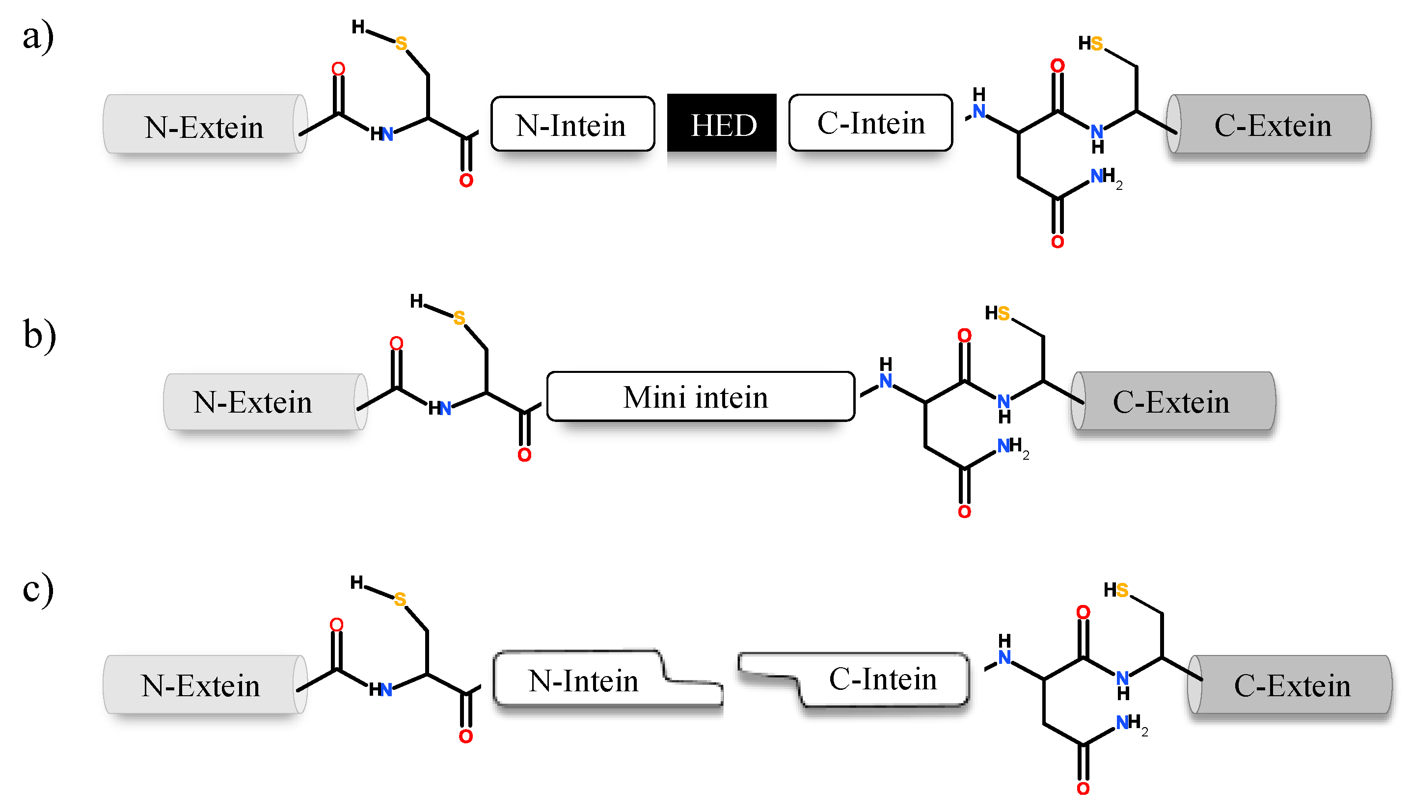 Microorganisms 08 02004 g001
