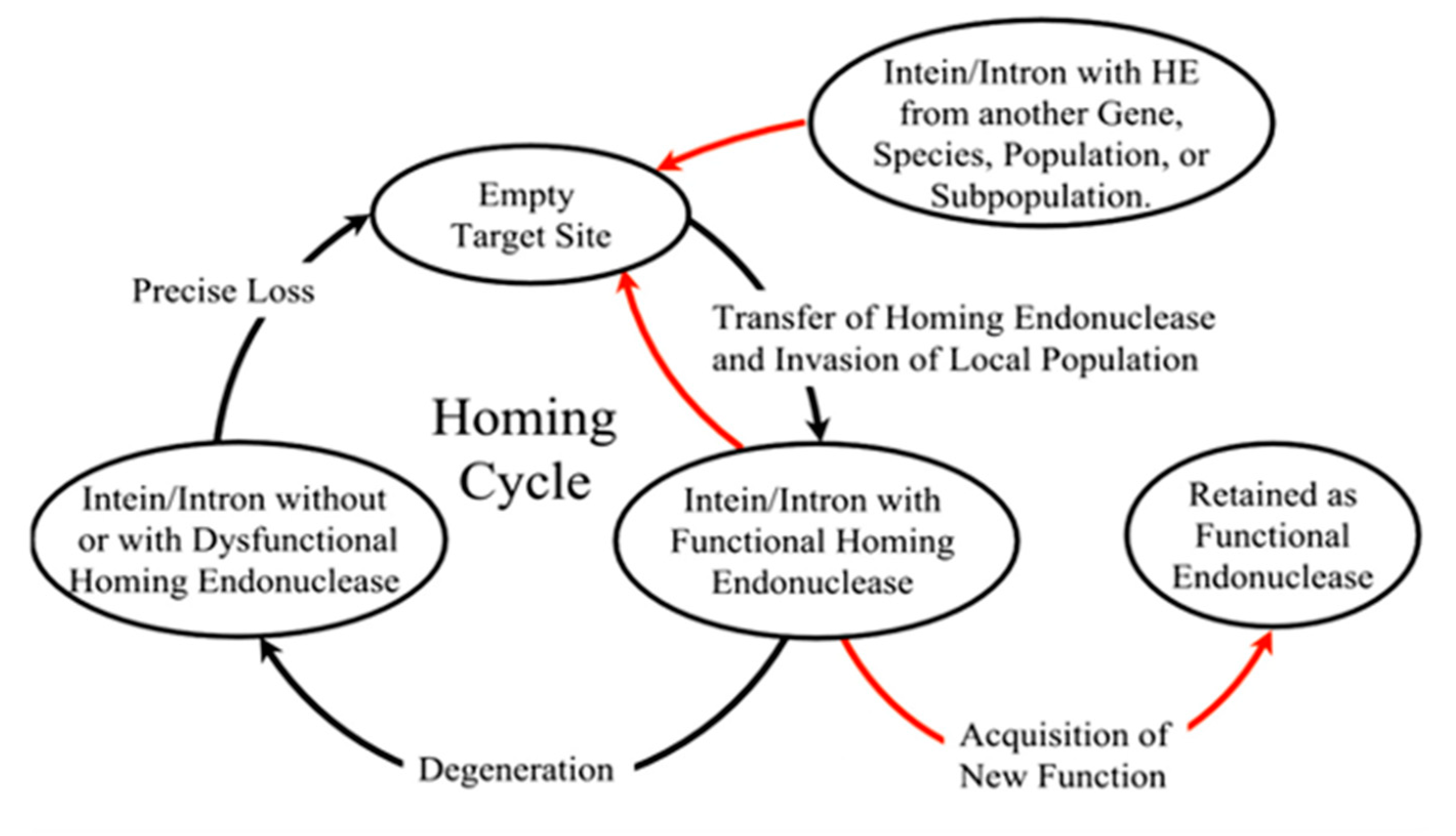 Microorganisms 08 02004 g004