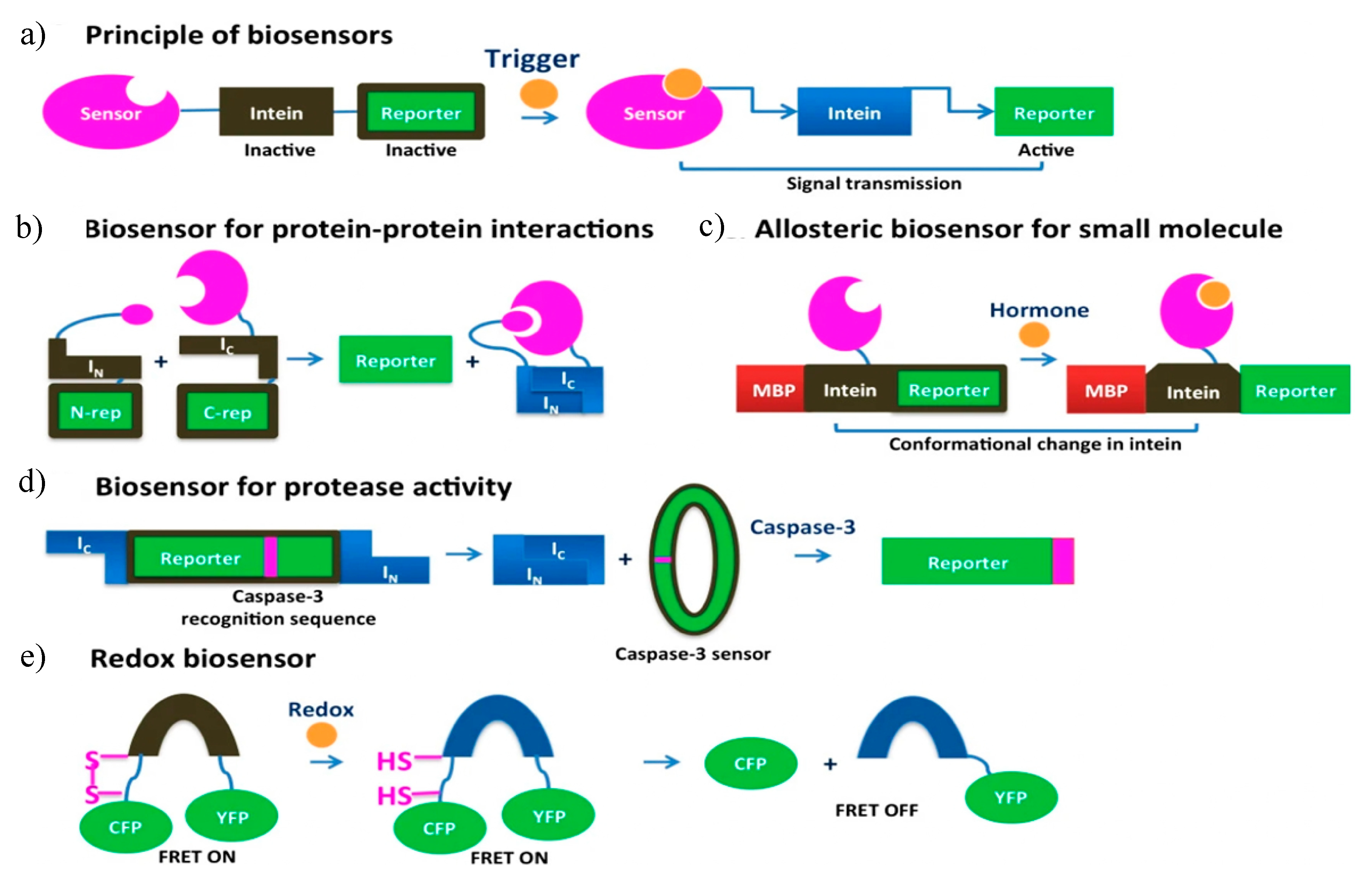 Microorganisms 08 02004 g012