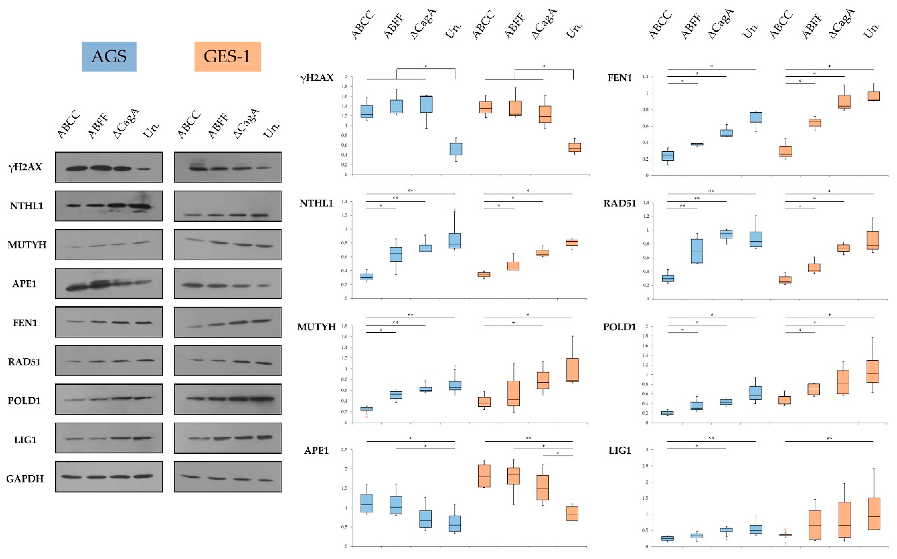 Microorganisms 08 02007 g007