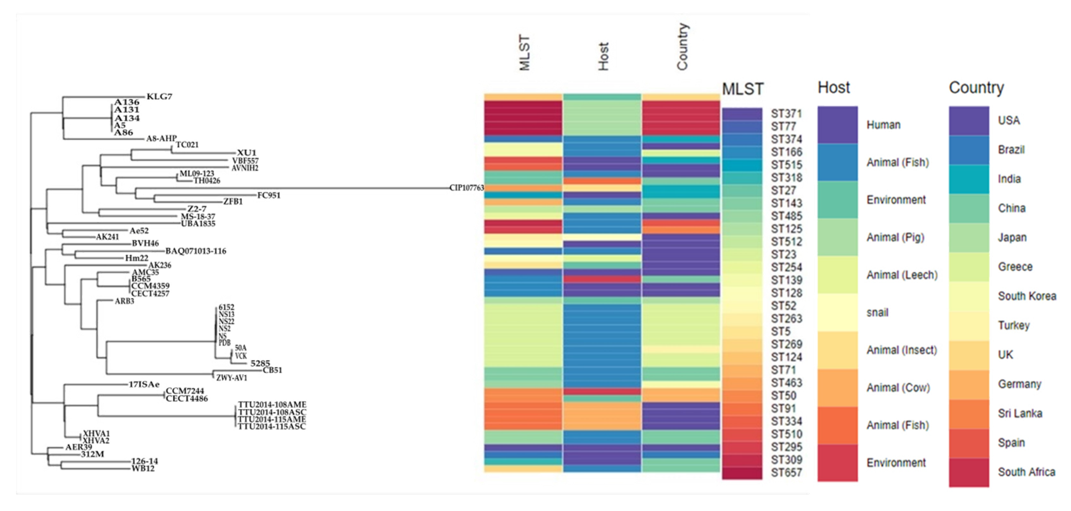 Microorganisms 08 02008 g005