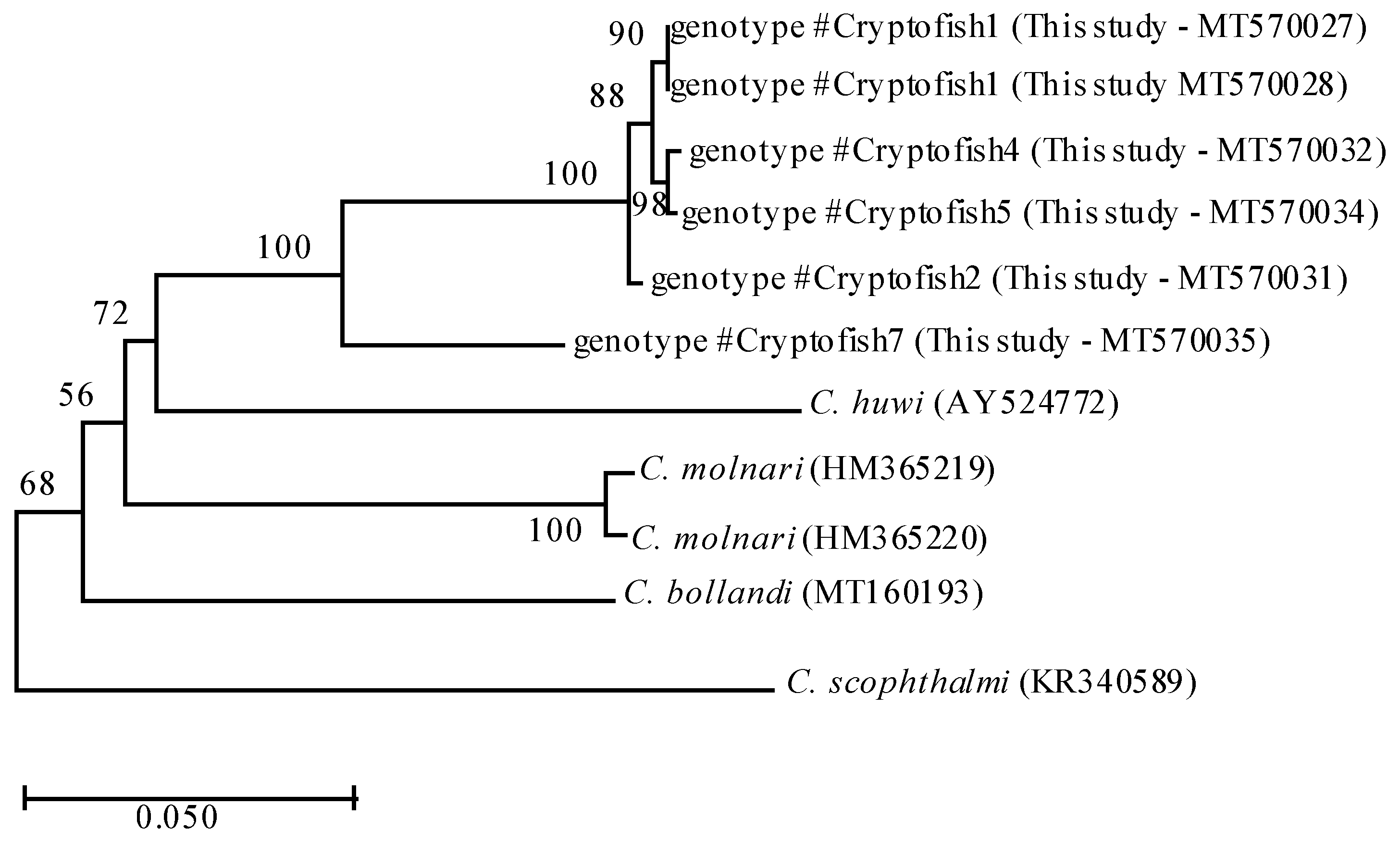 Microorganisms 08 02014 g001 Microorganisms 08 02014 g001