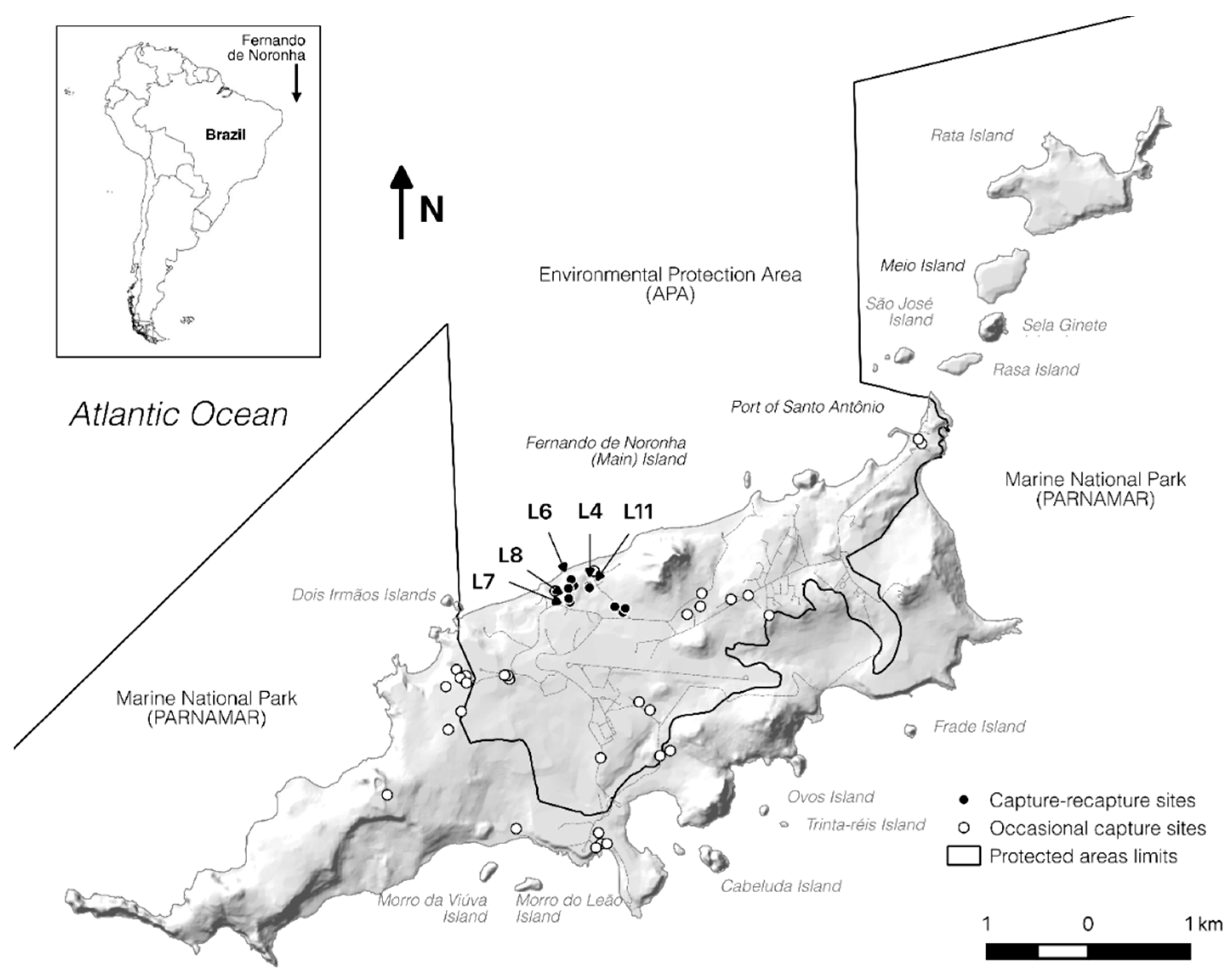 Microorganisms 08 02017 g001