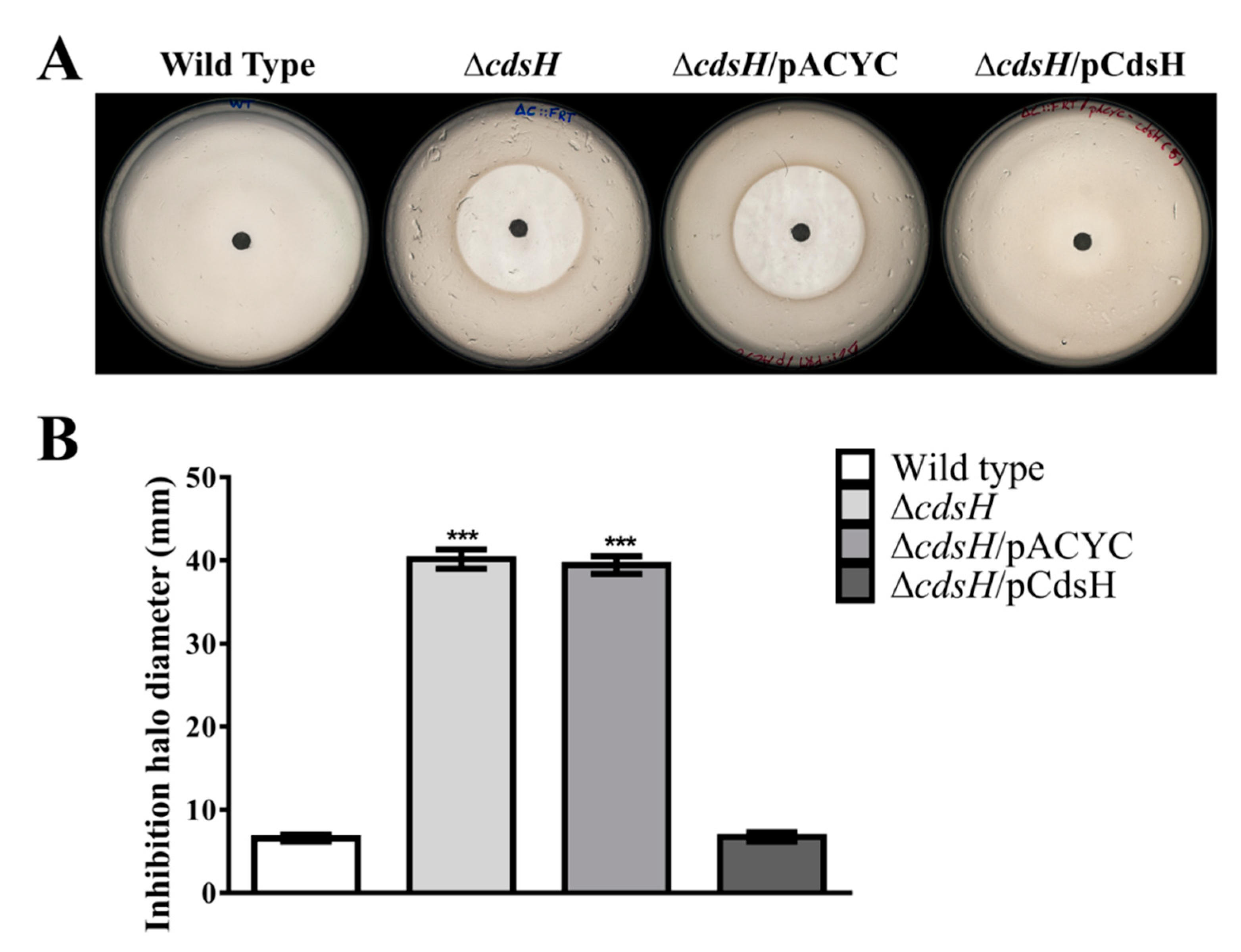 Microorganisms 08 02019 g001 Microorganisms 08 02019 g001