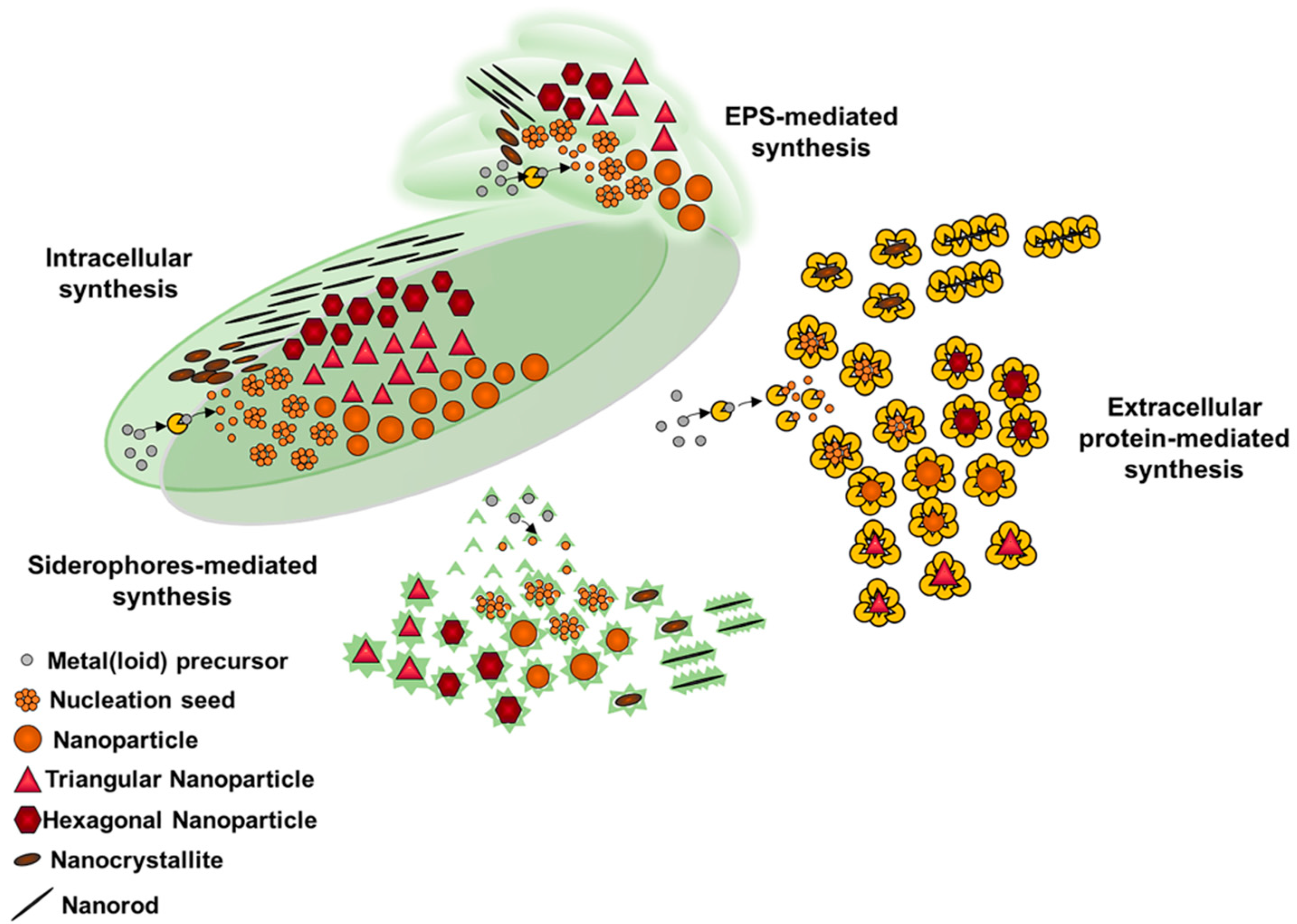 Microorganisms 08 02027 g002