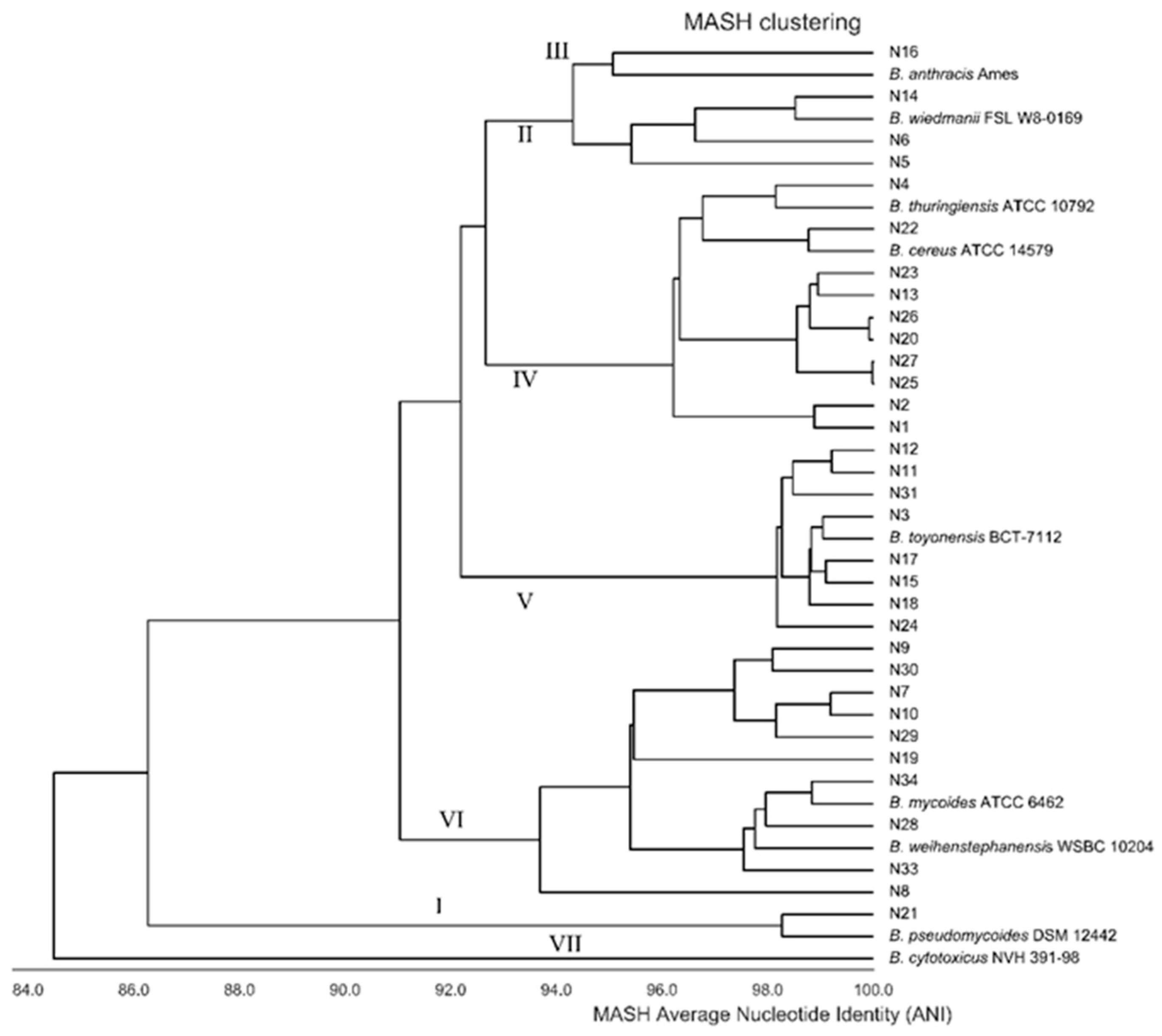 Microorganisms 08 02028 g001