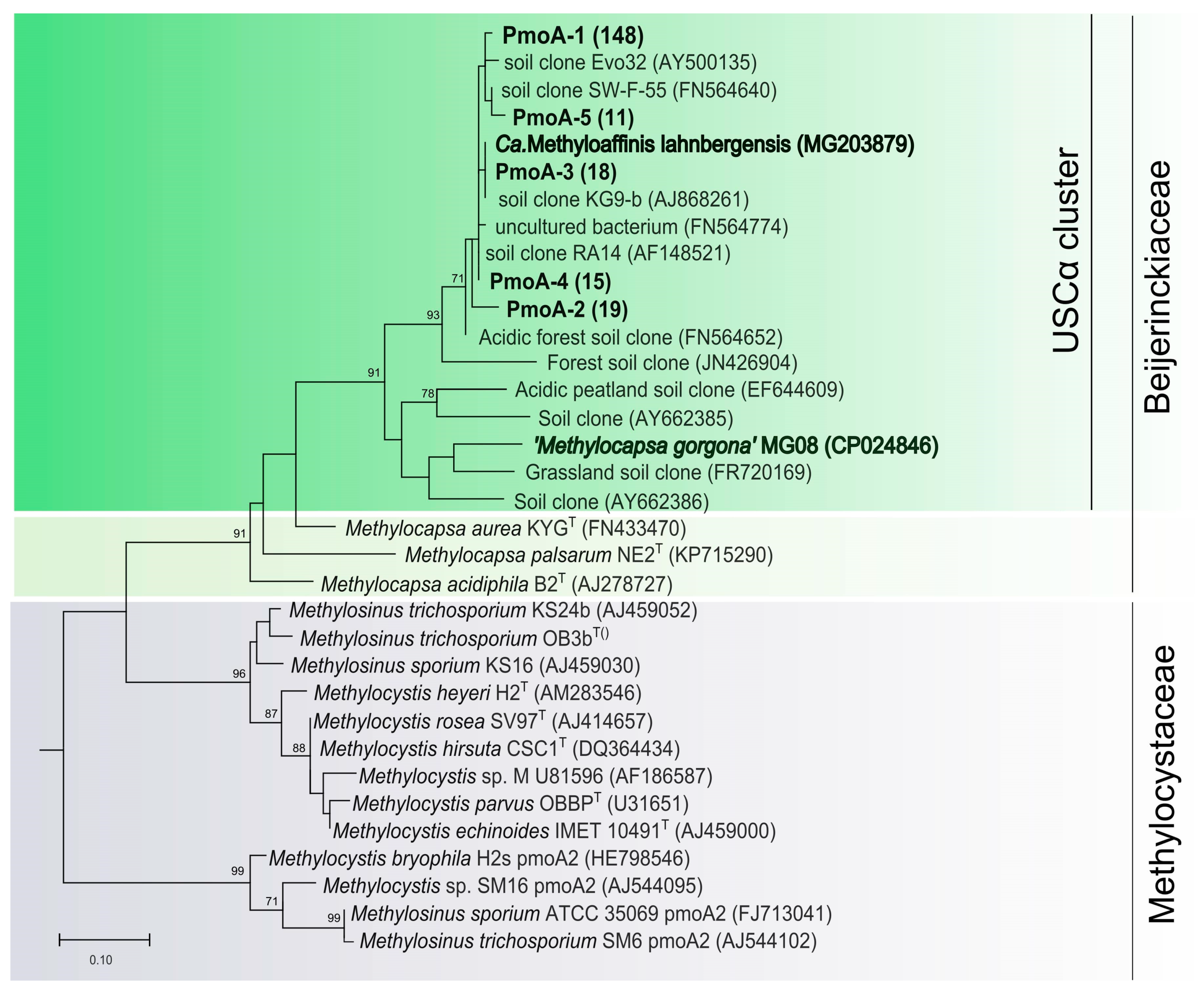 Microorganisms 08 02047 g002