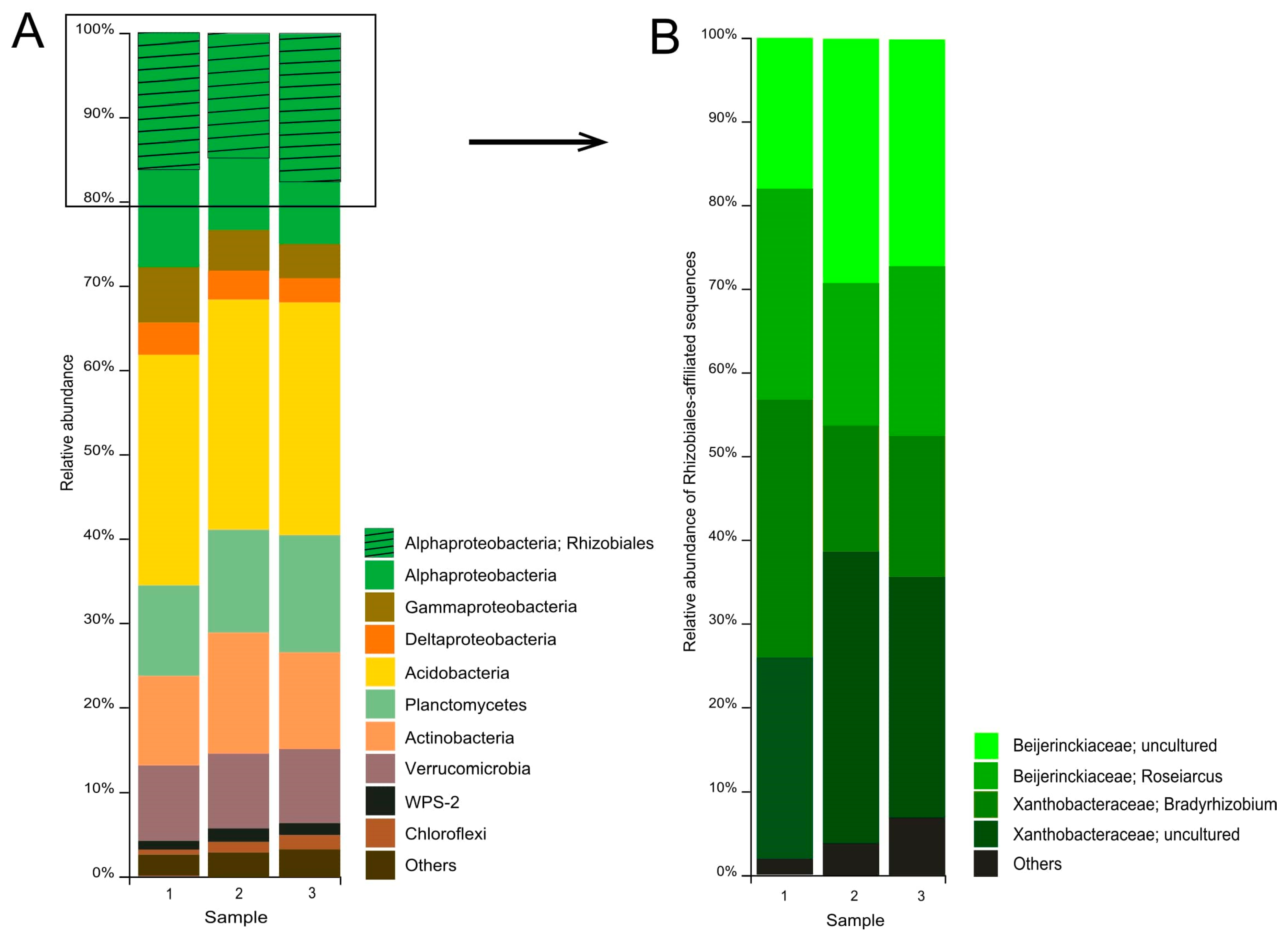 Microorganisms 08 02047 g003