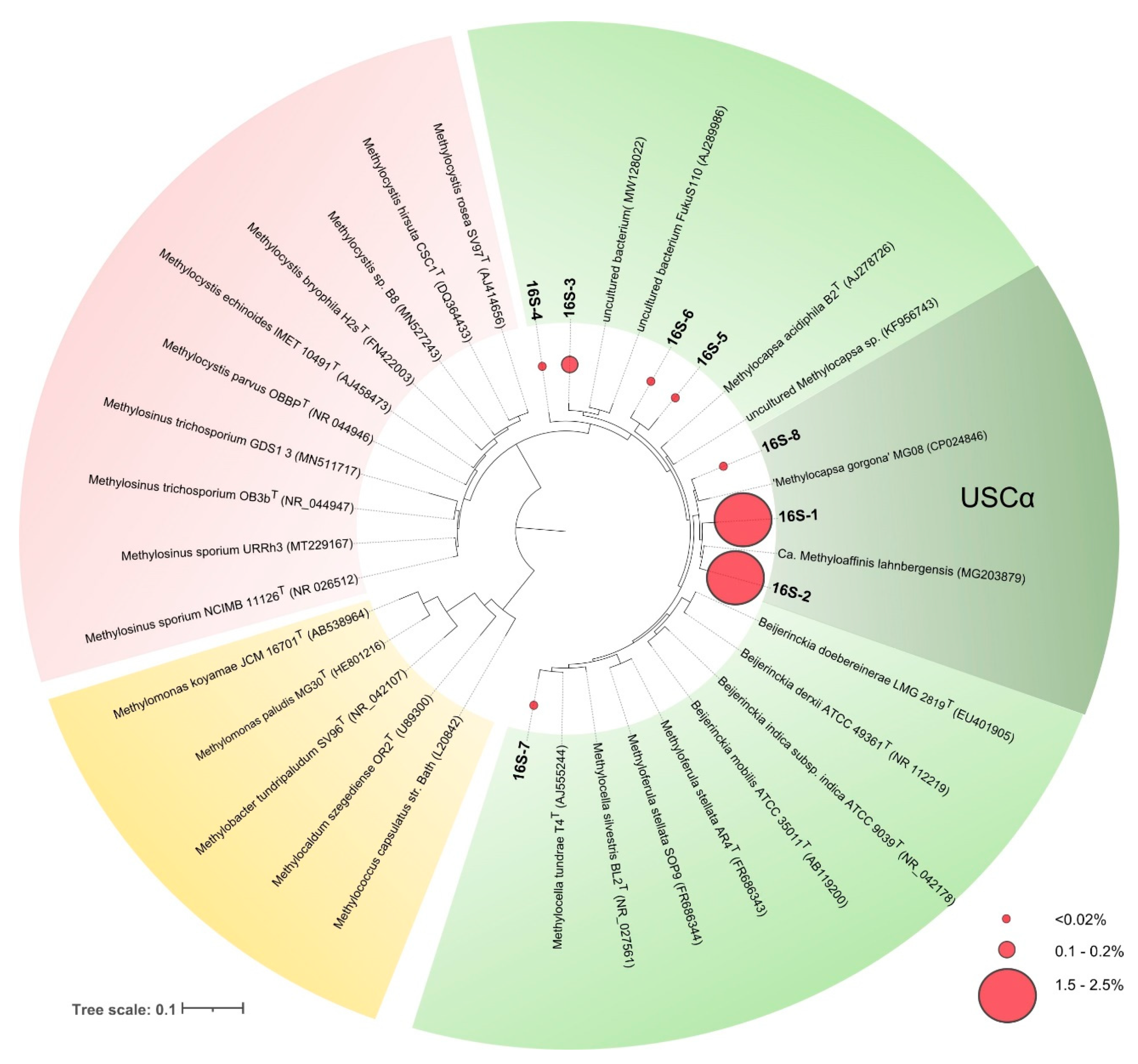 Microorganisms 08 02047 g004