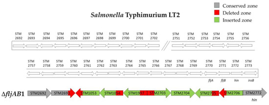 Microorganisms 08 02049 g0a1