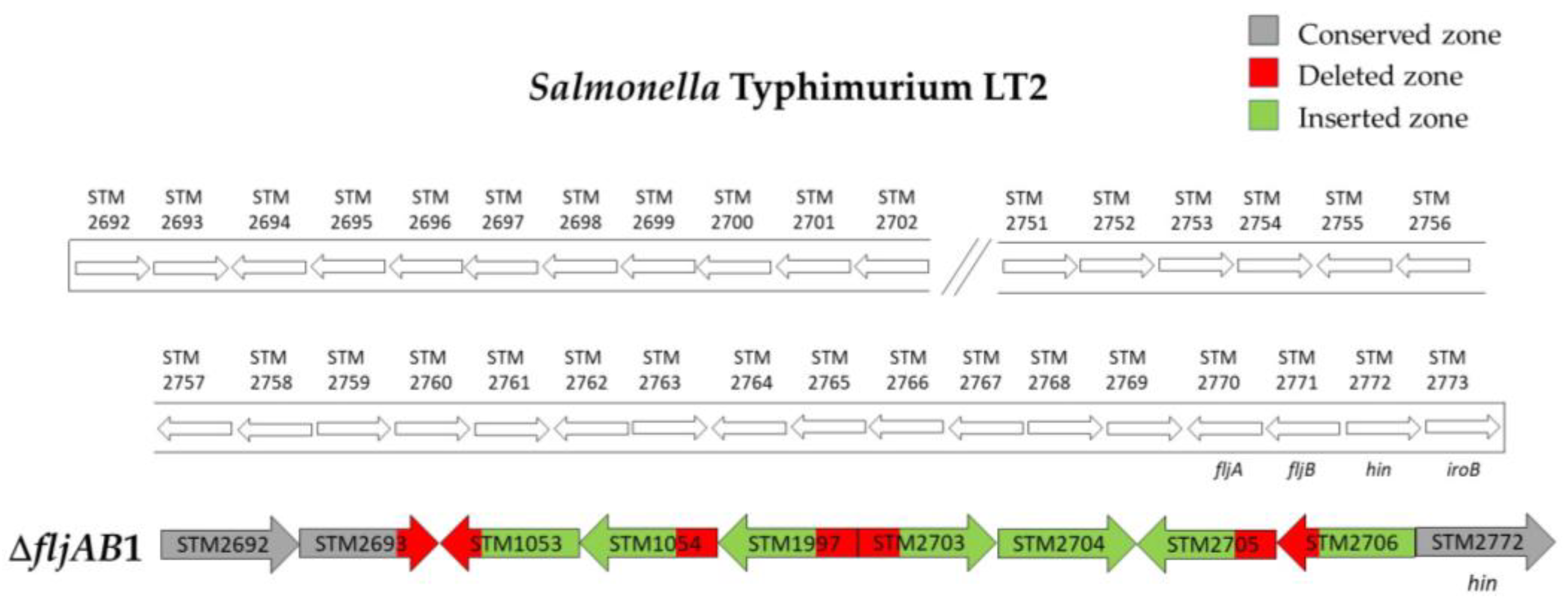 Microorganisms 08 02049 g0a1