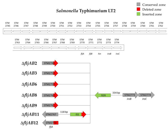 Microorganisms 08 02049 g0a2