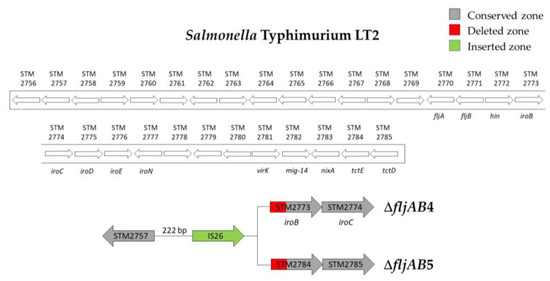 Microorganisms 08 02049 g0a3