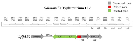 Microorganisms 08 02049 g0a4