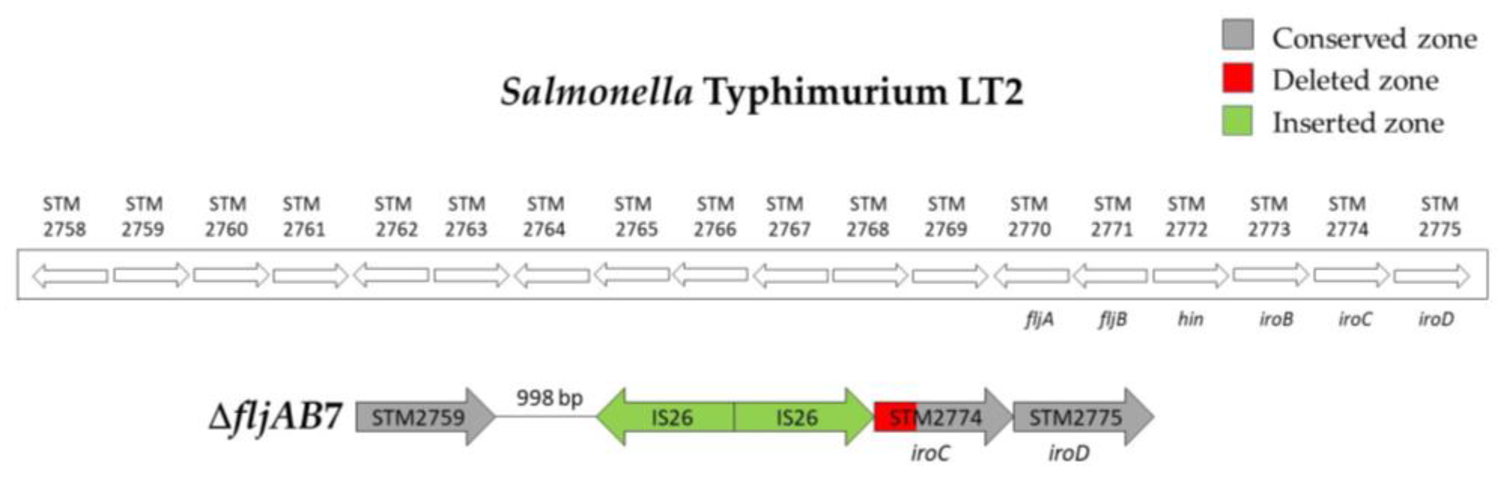 Microorganisms 08 02049 g0a4