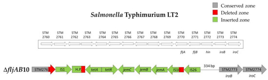 Microorganisms 08 02049 g0a5