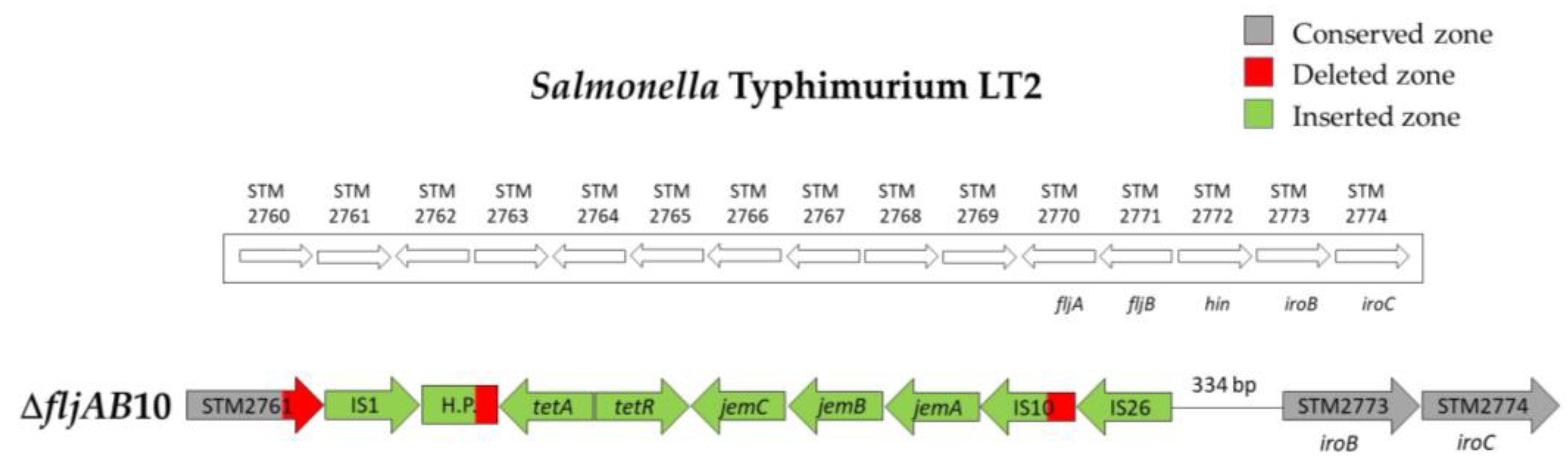 Microorganisms 08 02049 g0a5