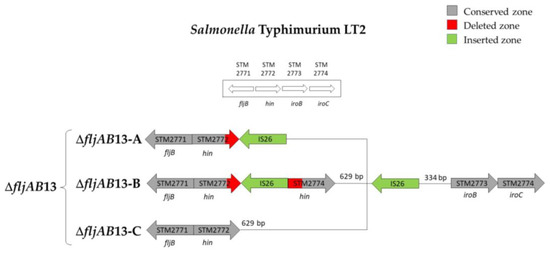 Microorganisms 08 02049 g0a6