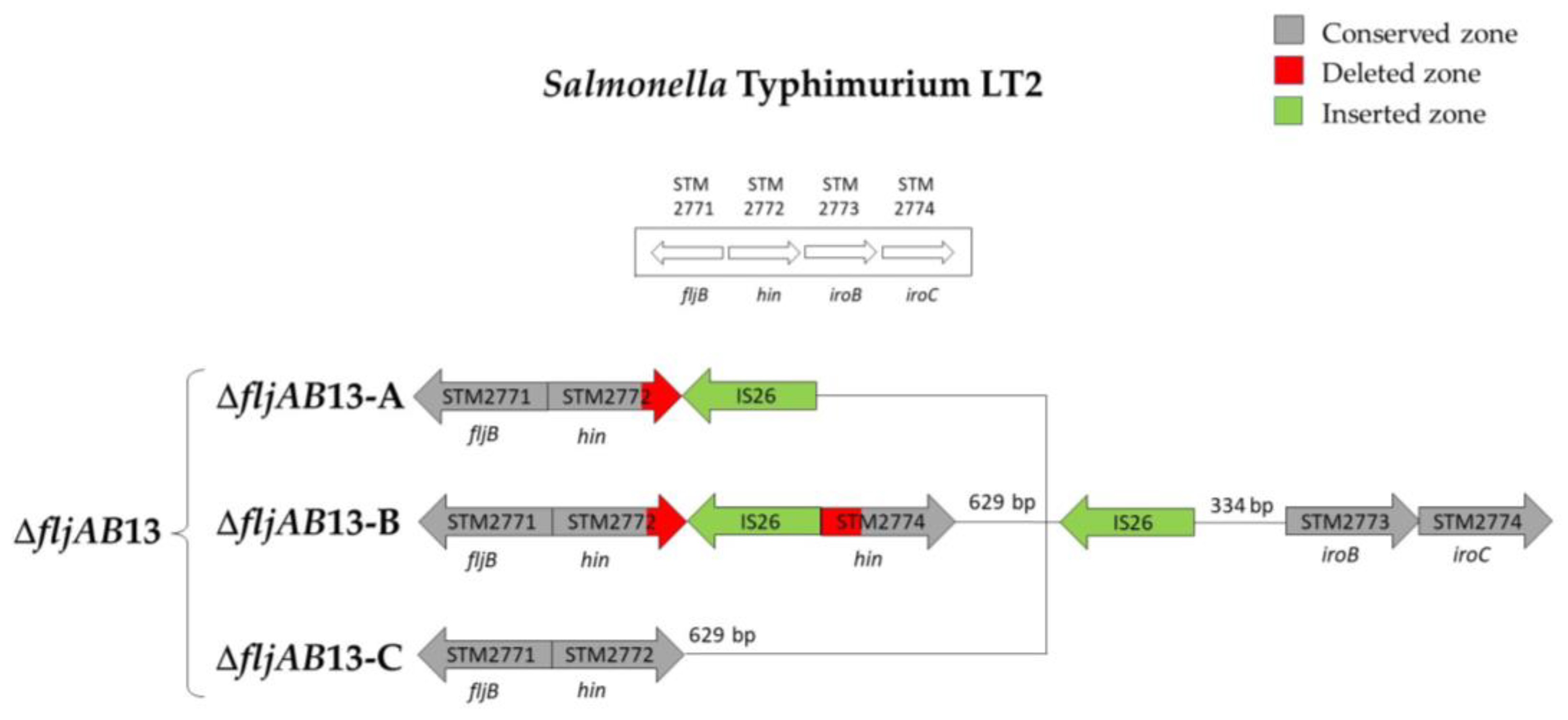 Microorganisms 08 02049 g0a6