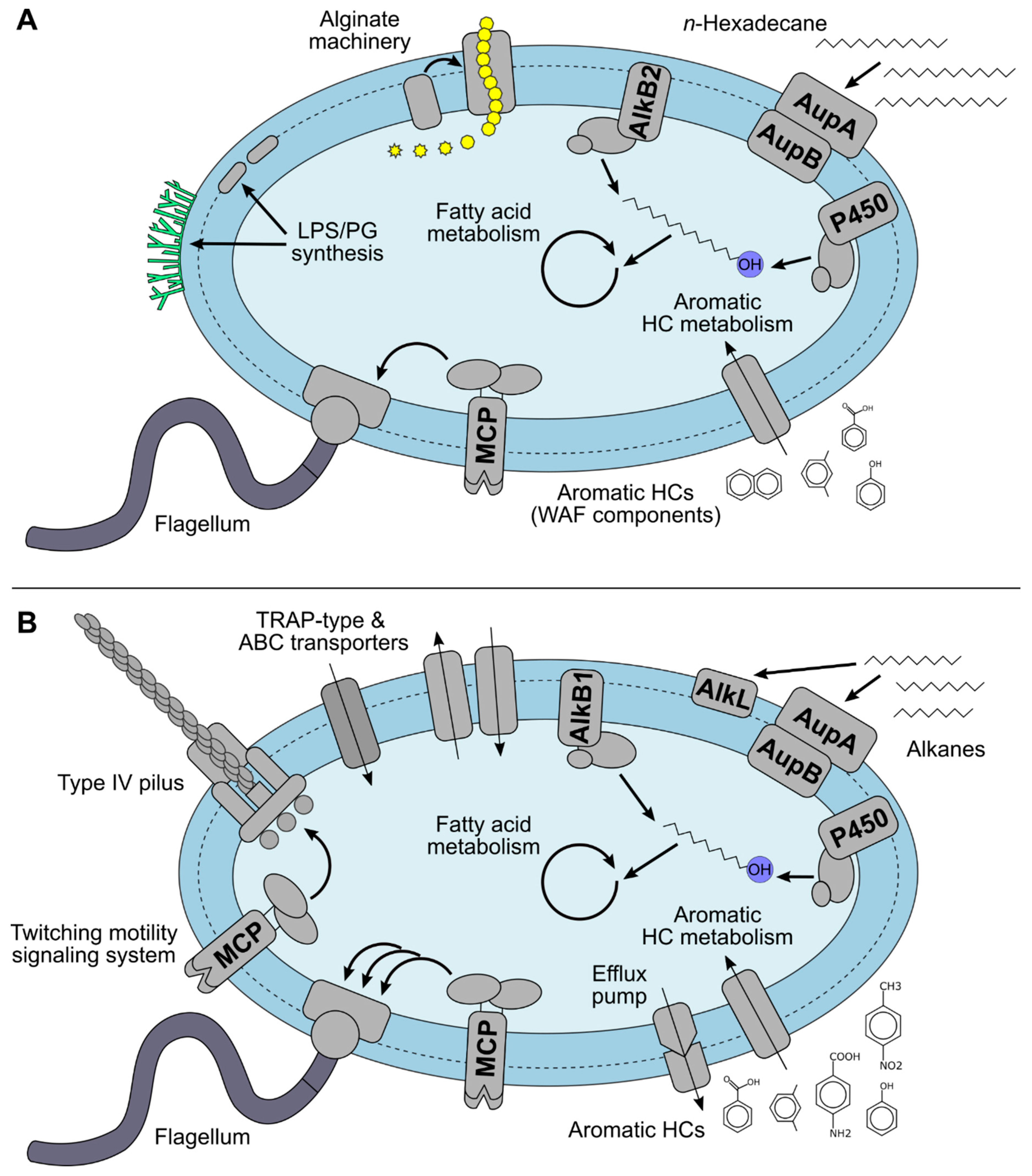 Microorganisms 09 00003 g003
