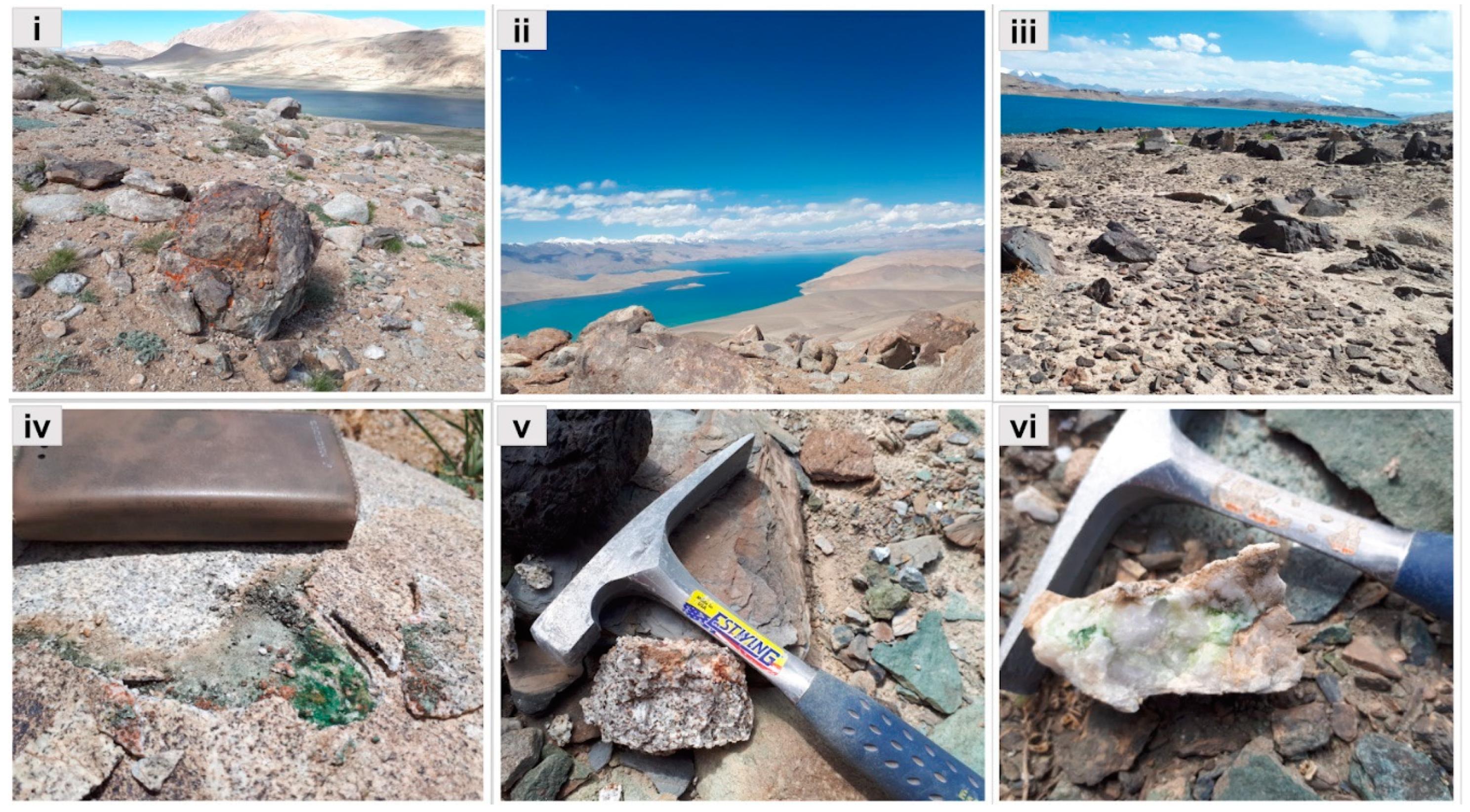 Microorganisms 09 00006 g001