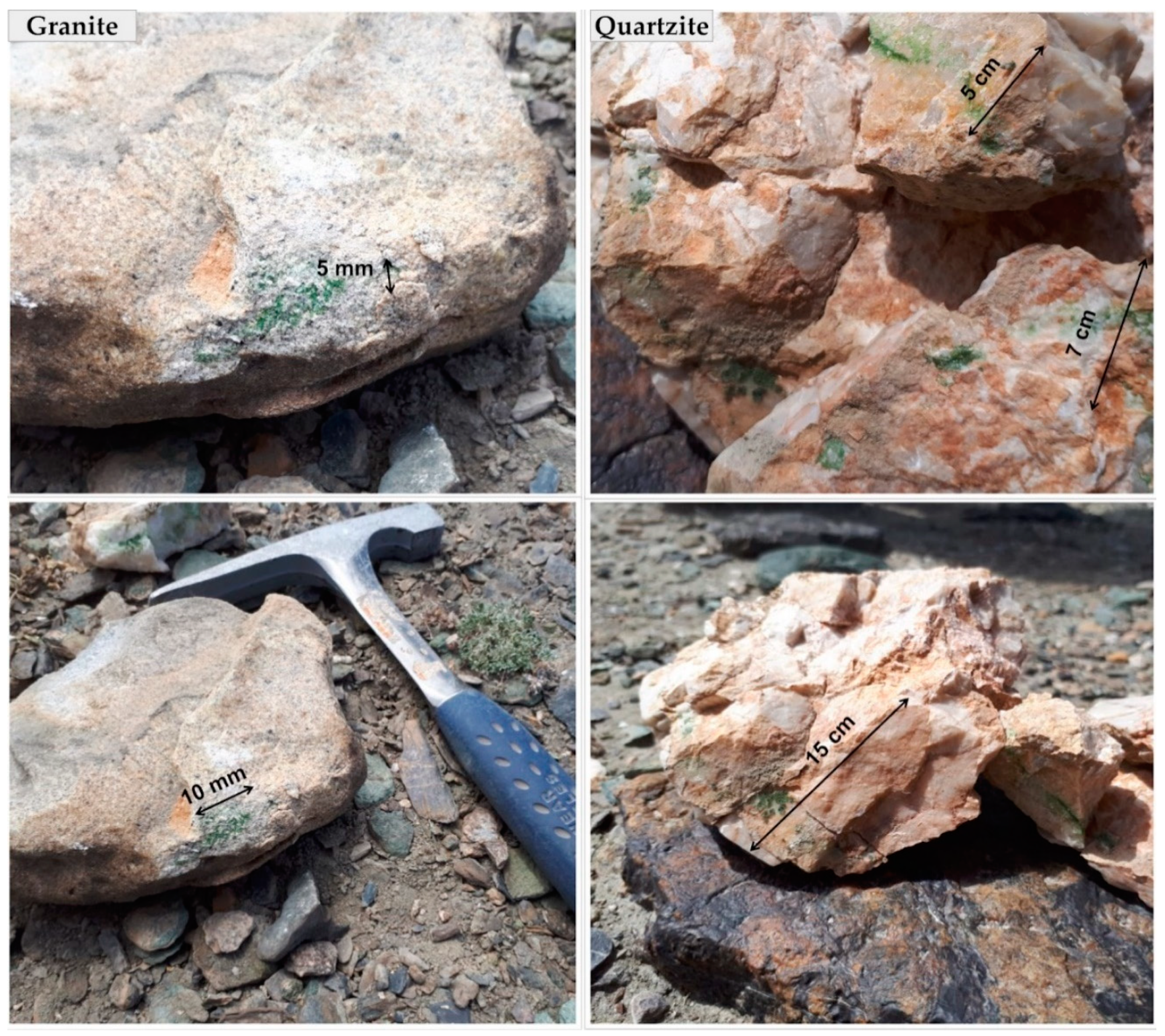 Microorganisms 09 00006 g002