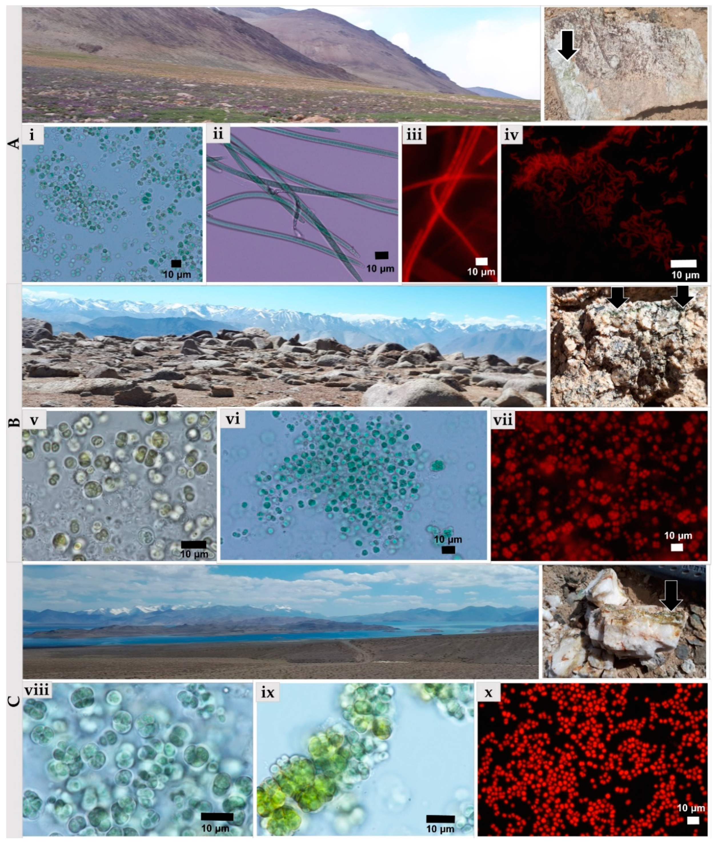 Microorganisms 09 00006 g006