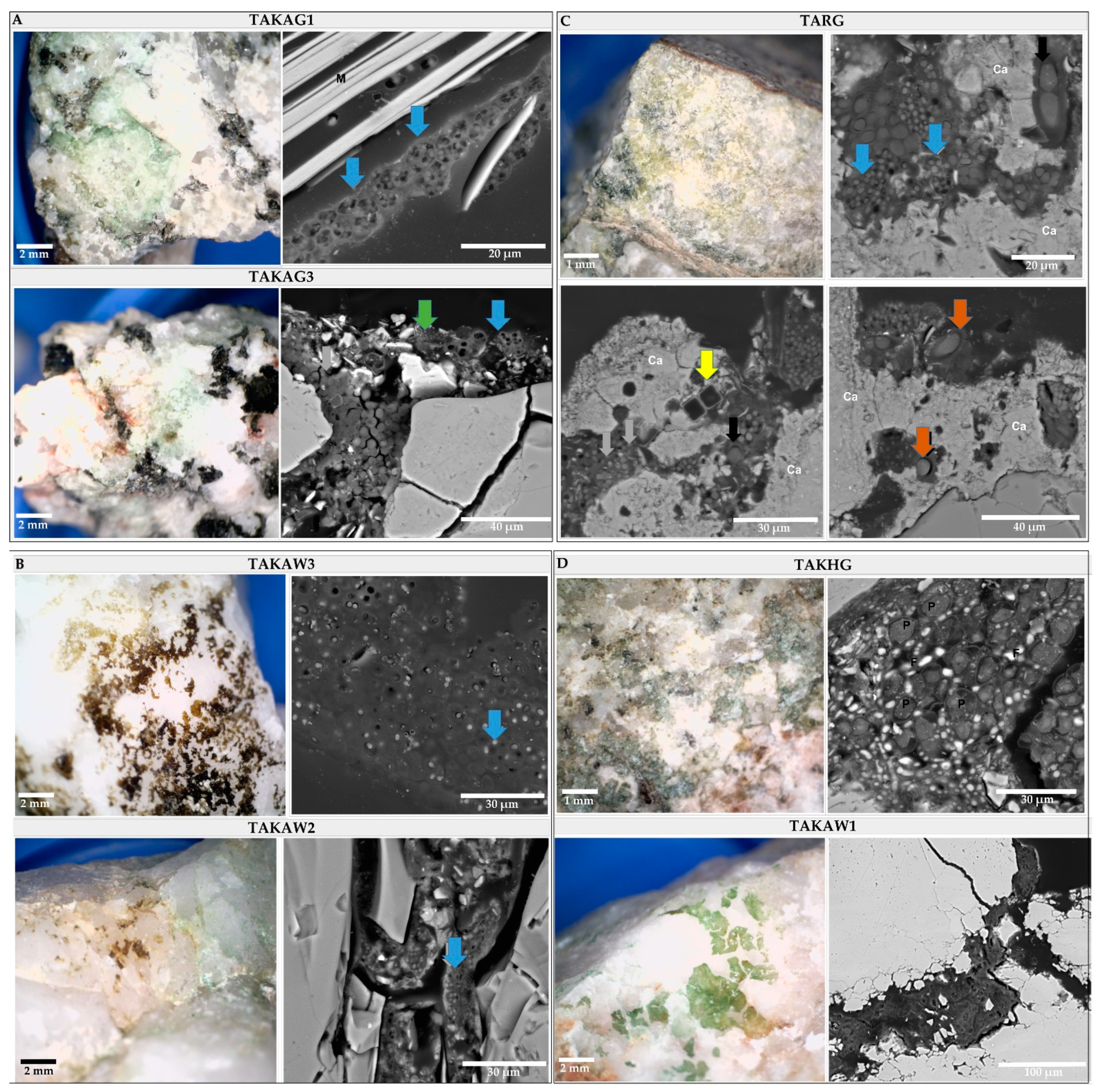 Microorganisms 09 00006 g007