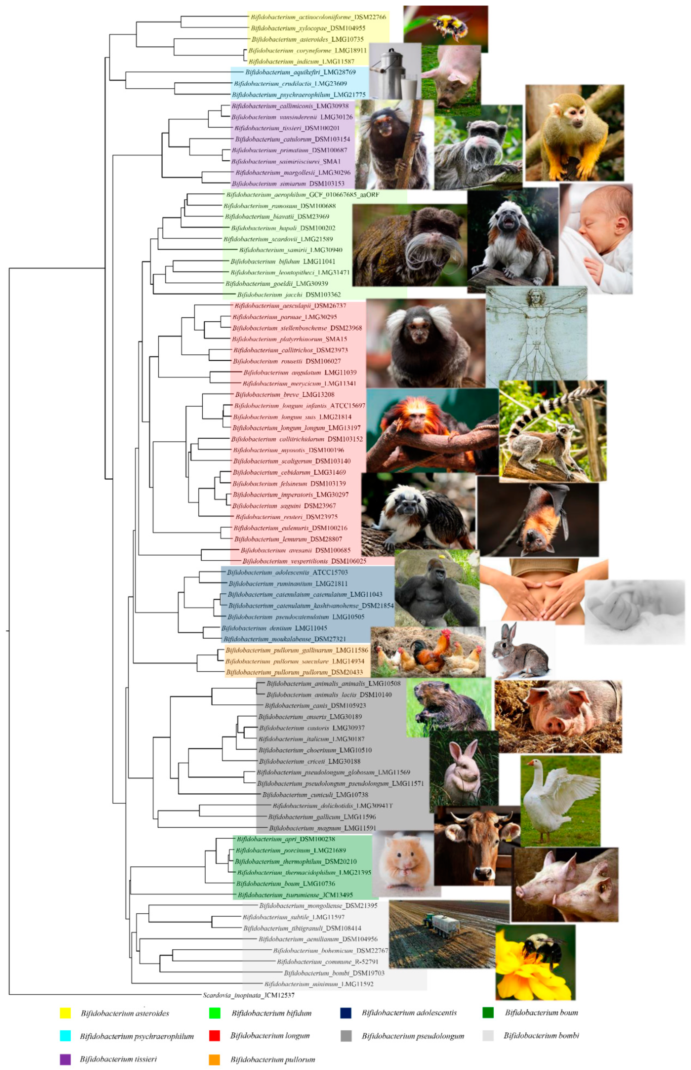 Microorganisms 09 00008 g001 Microorganisms 09 00008 g001