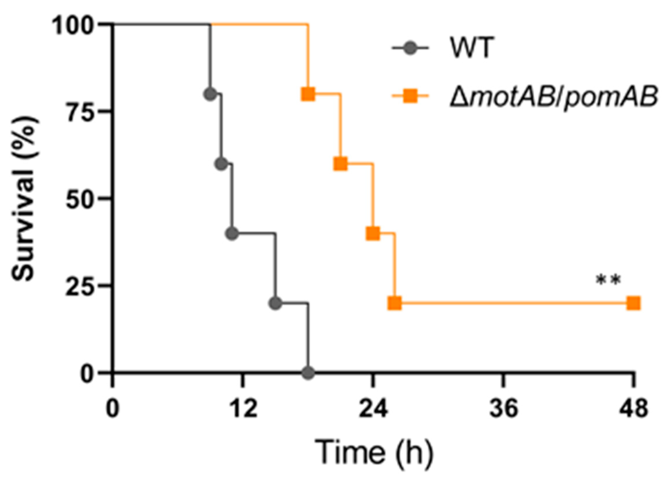 Microorganisms 09 00010 g005 Microorganisms 09 00010 g005