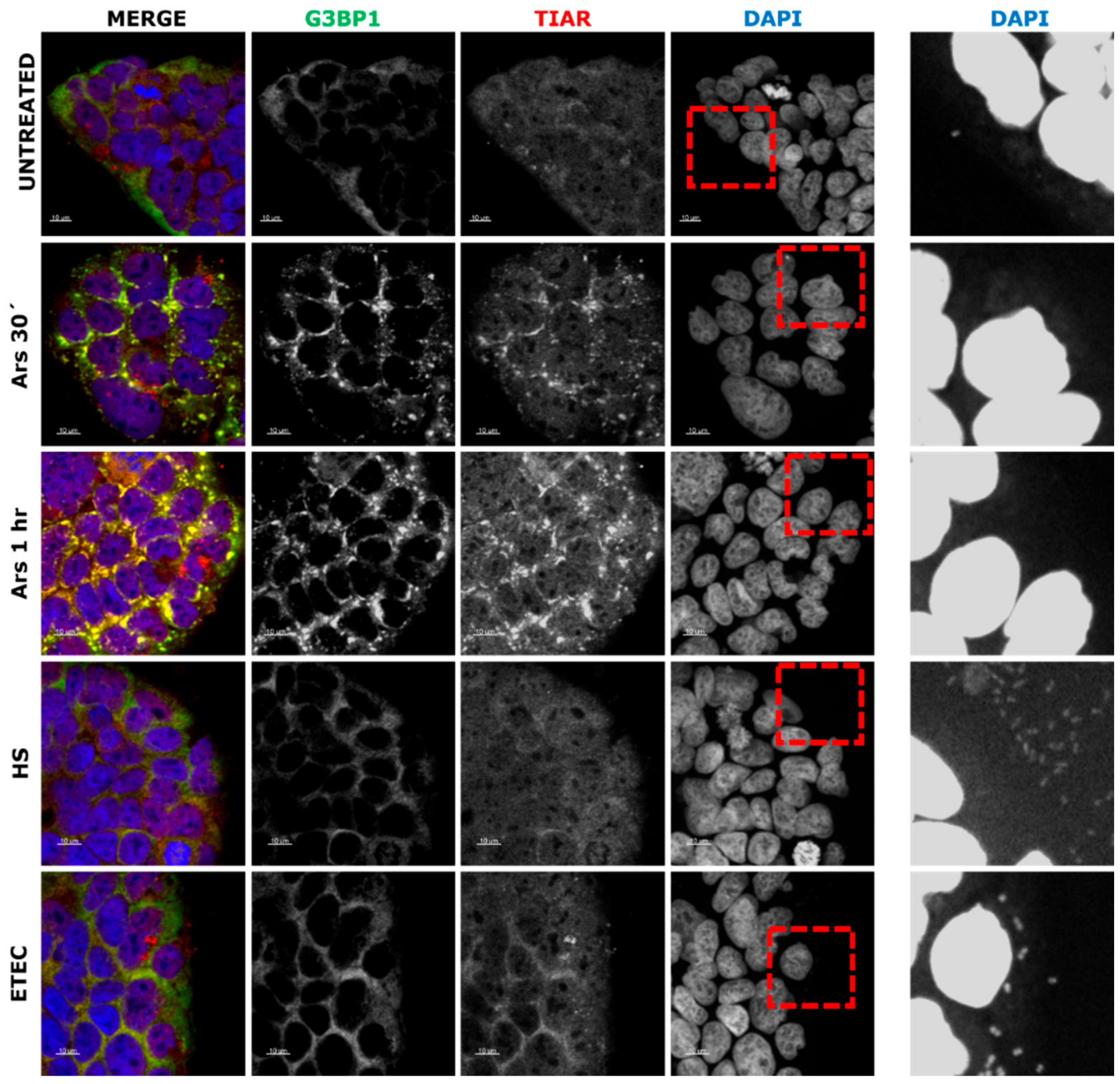 Microorganisms 09 00017 g001 Microorganisms 09 00017 g001