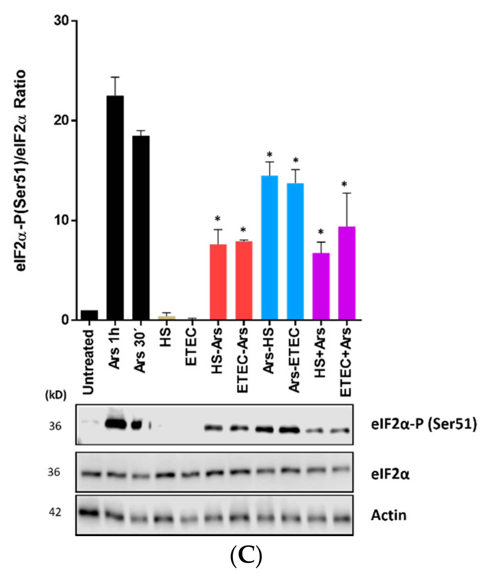 Microorganisms 09 00017 g002b Microorganisms 09 00017 g002b