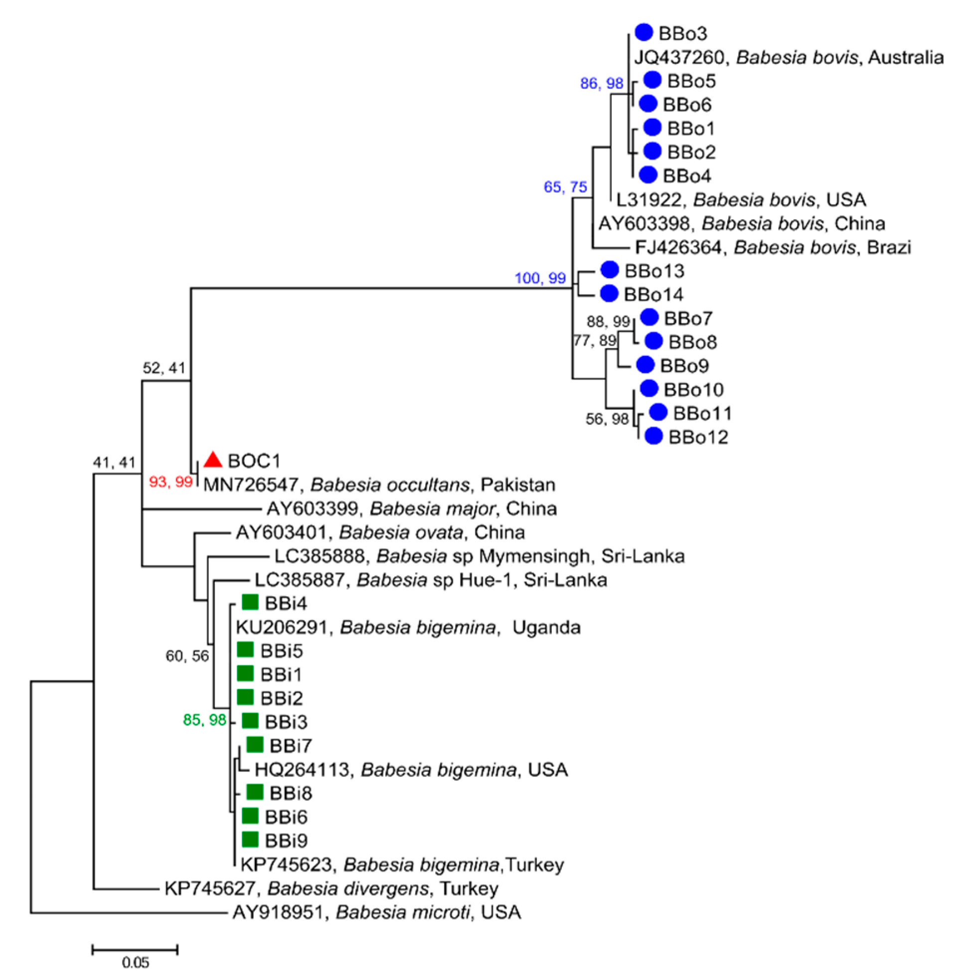 Microorganisms 09 00021 g002