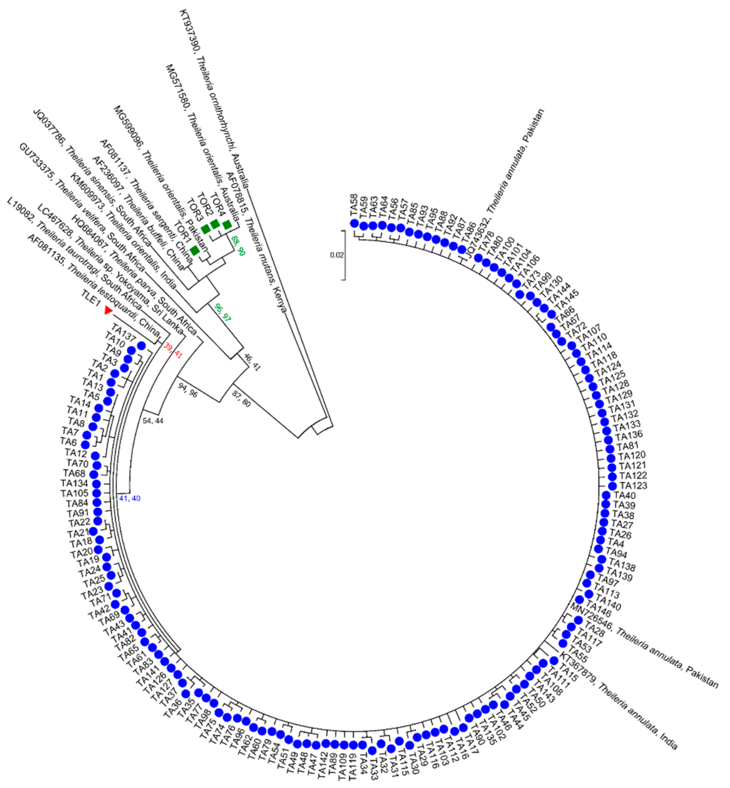 Microorganisms 09 00021 g003