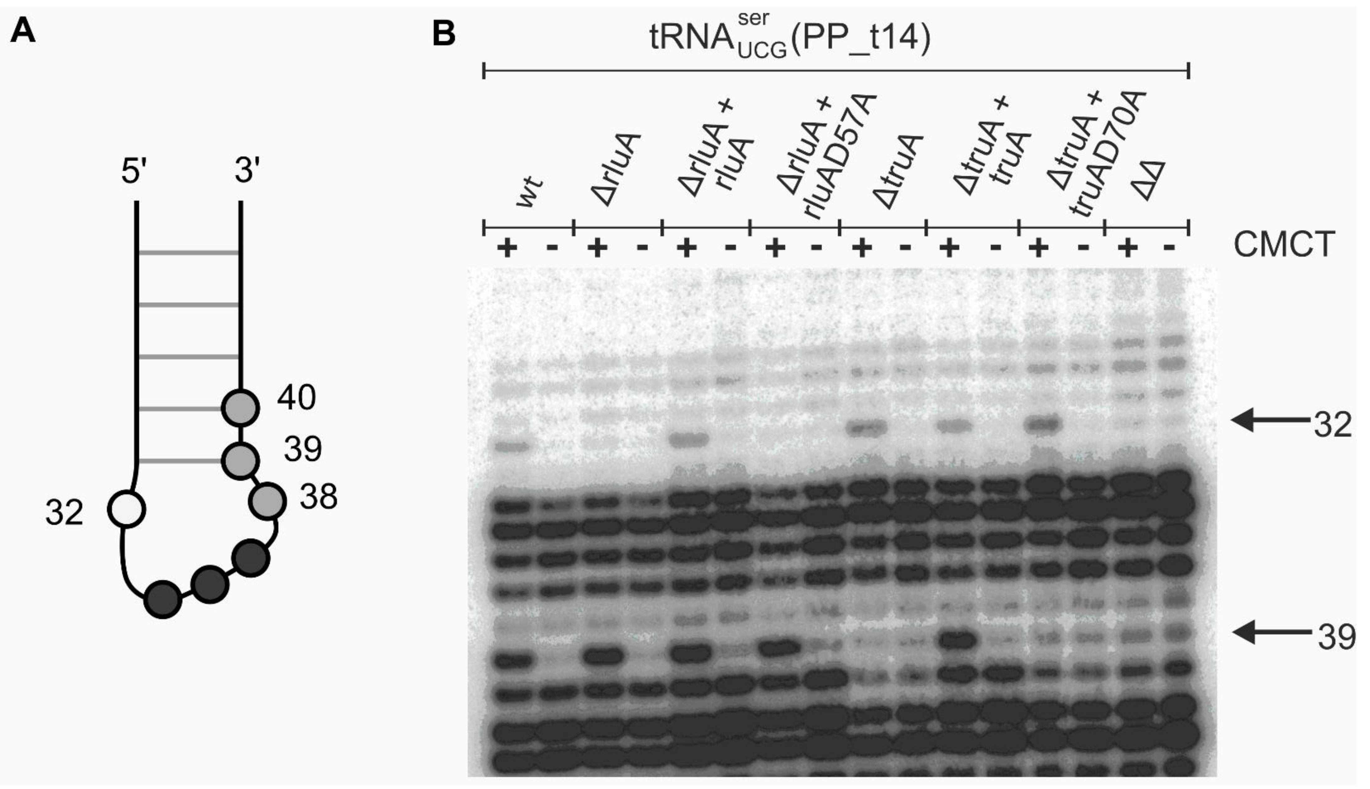 Microorganisms 09 00025 g001