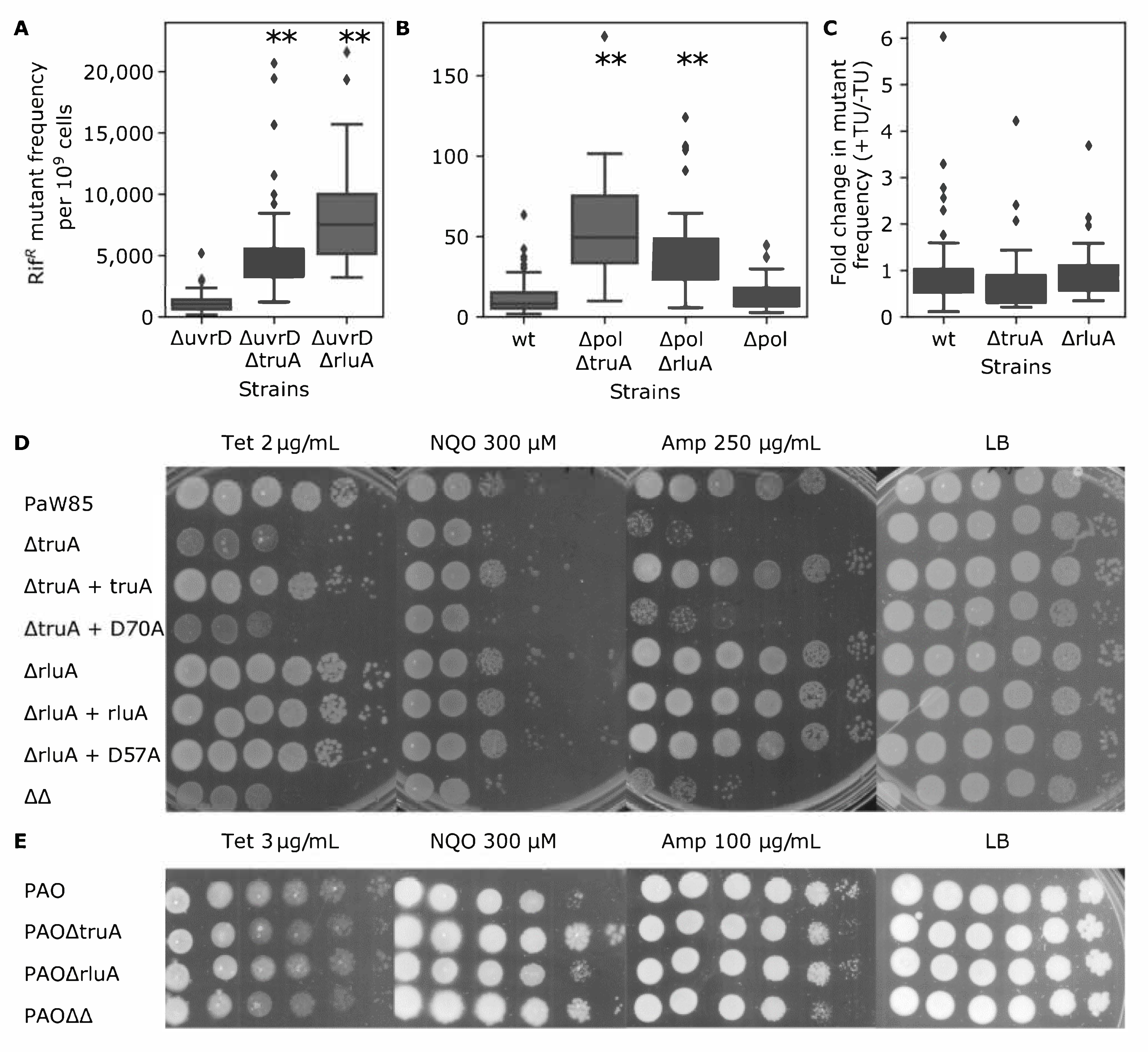 Microorganisms 09 00025 g003