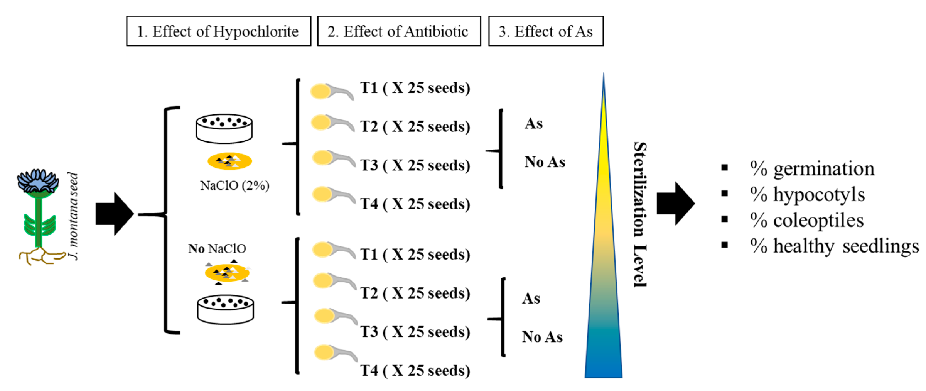 Microorganisms 09 00045 g001