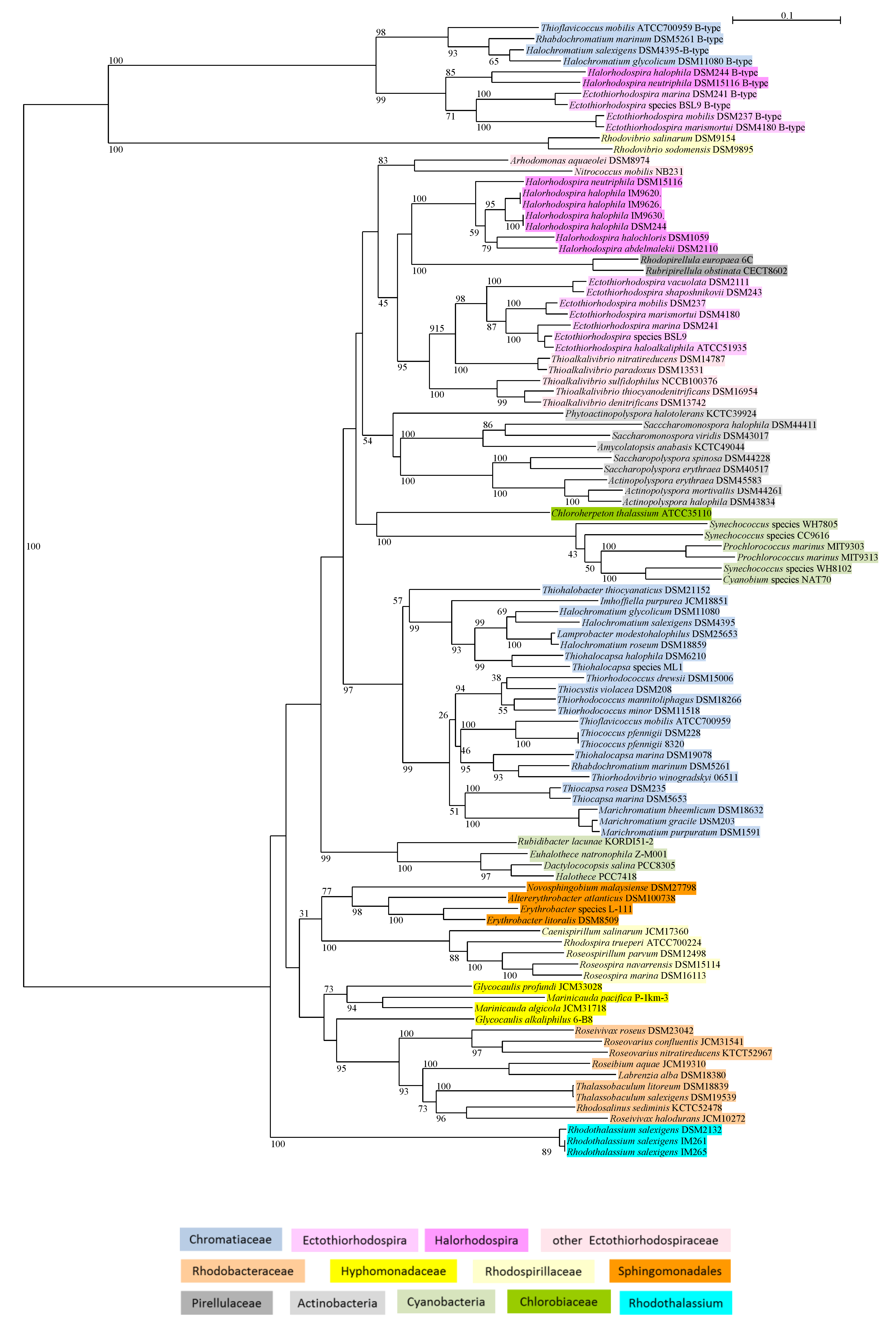 Microorganisms 09 00046 g001