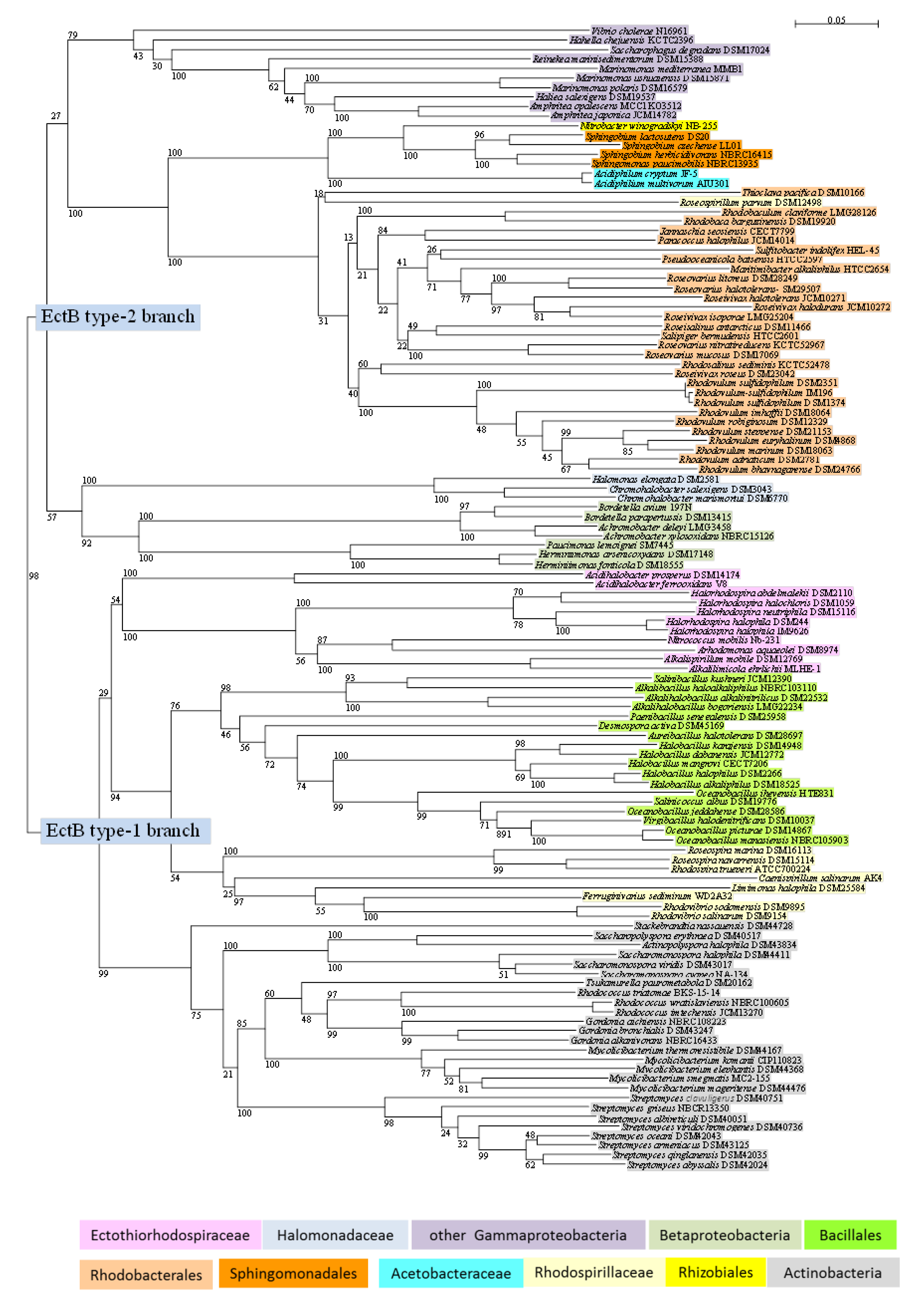 Microorganisms 09 00046 g002