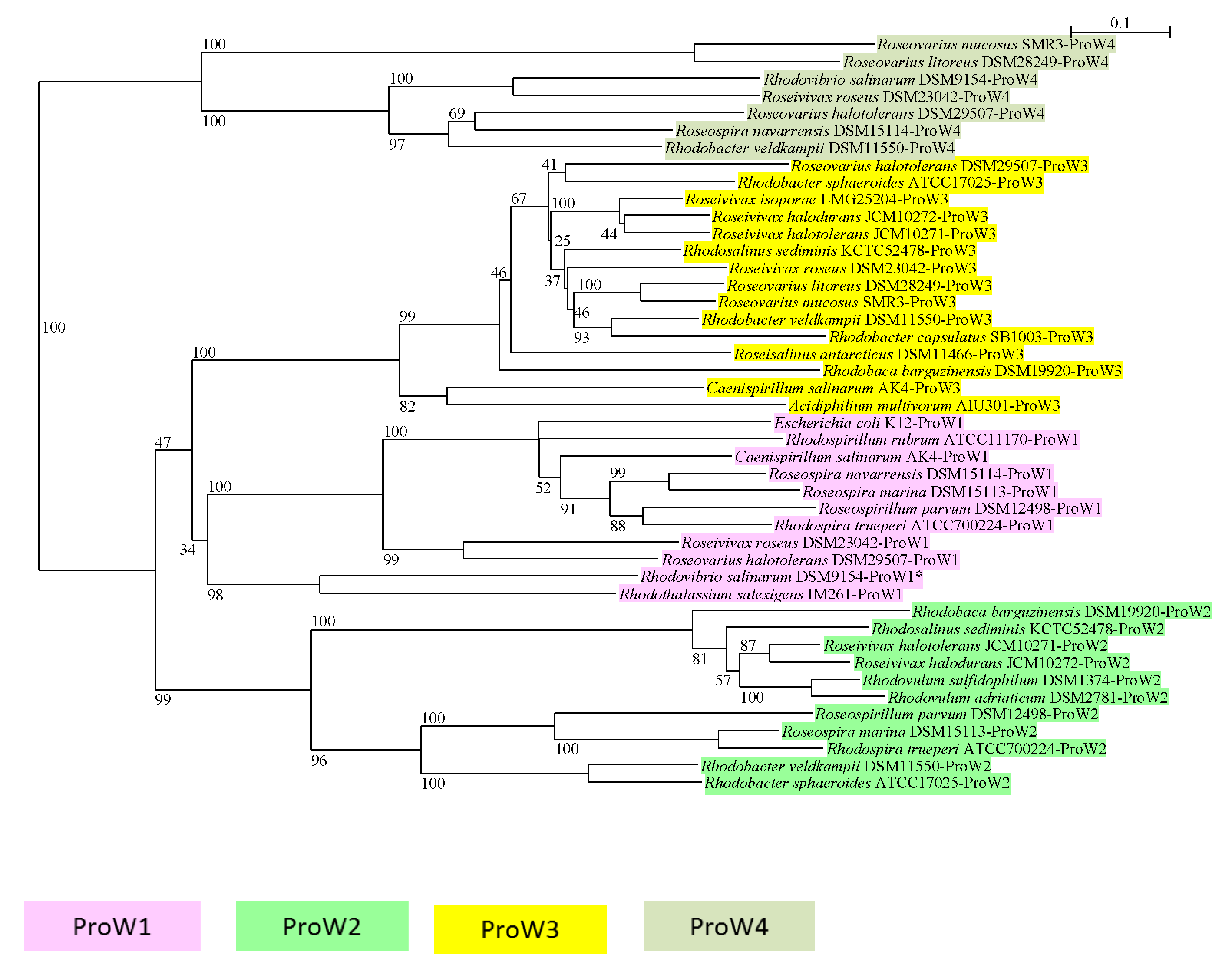 Microorganisms 09 00046 g003